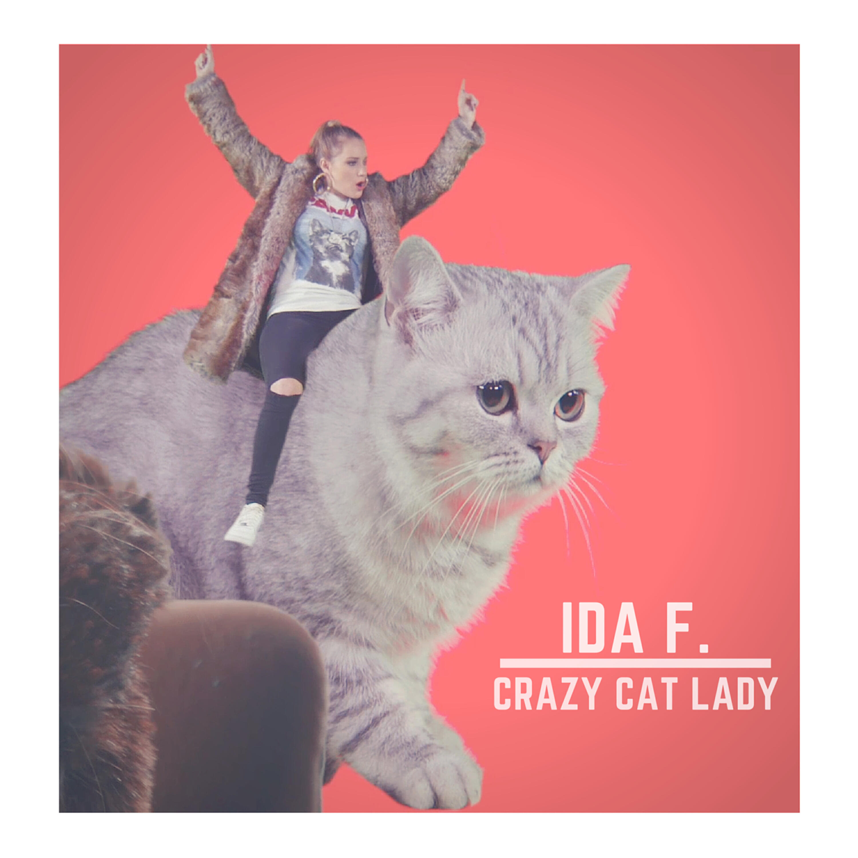 Ida Fladen - Crazy Cat Lady