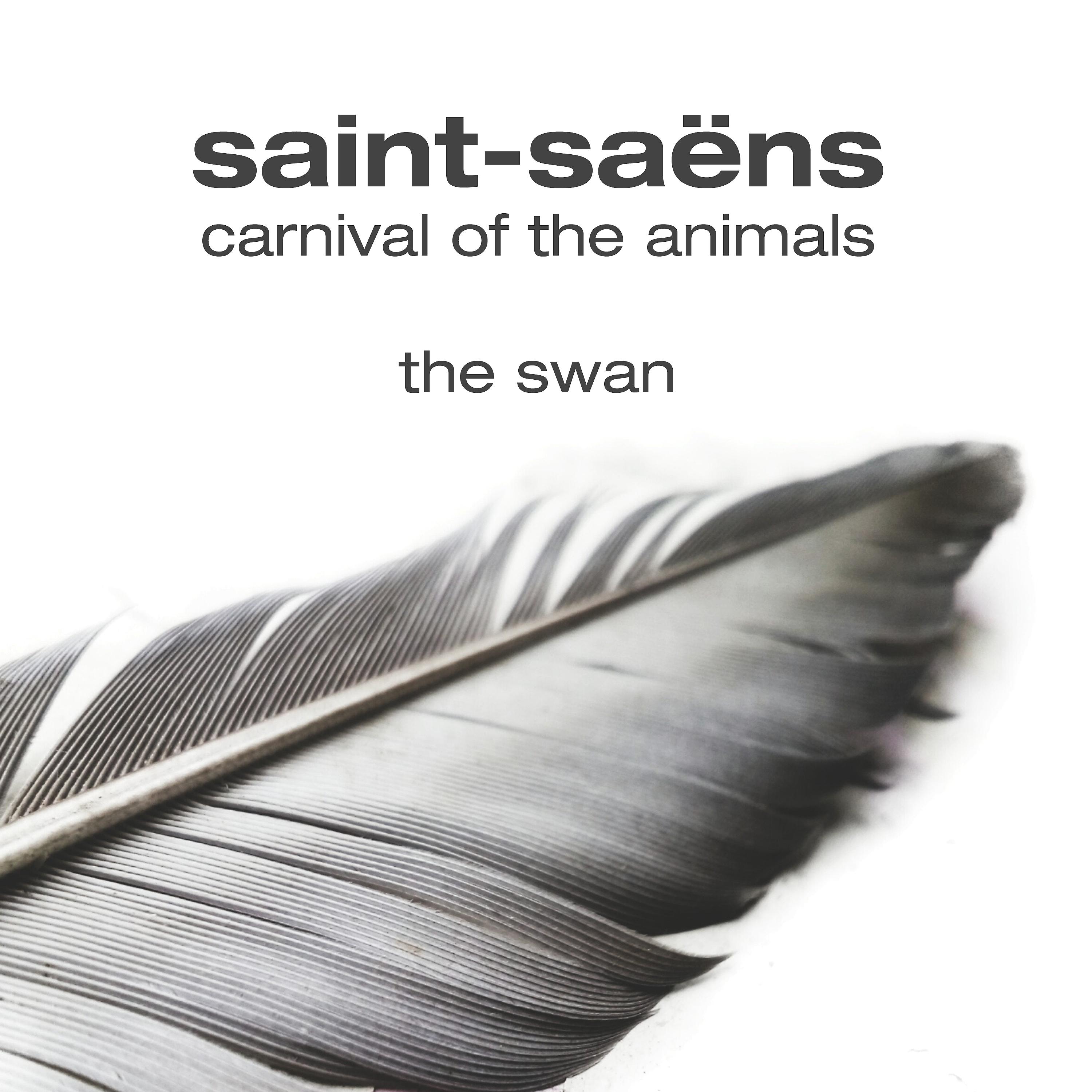 Постер альбома The Swan