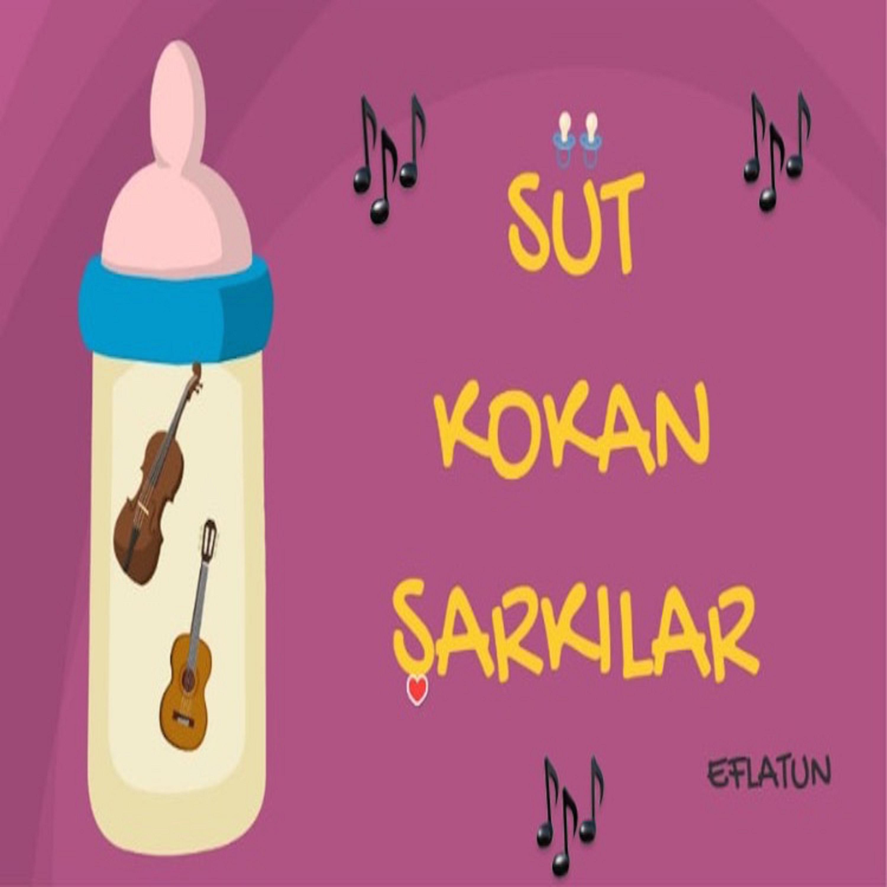 Постер альбома Süt Kokan Şarkılar