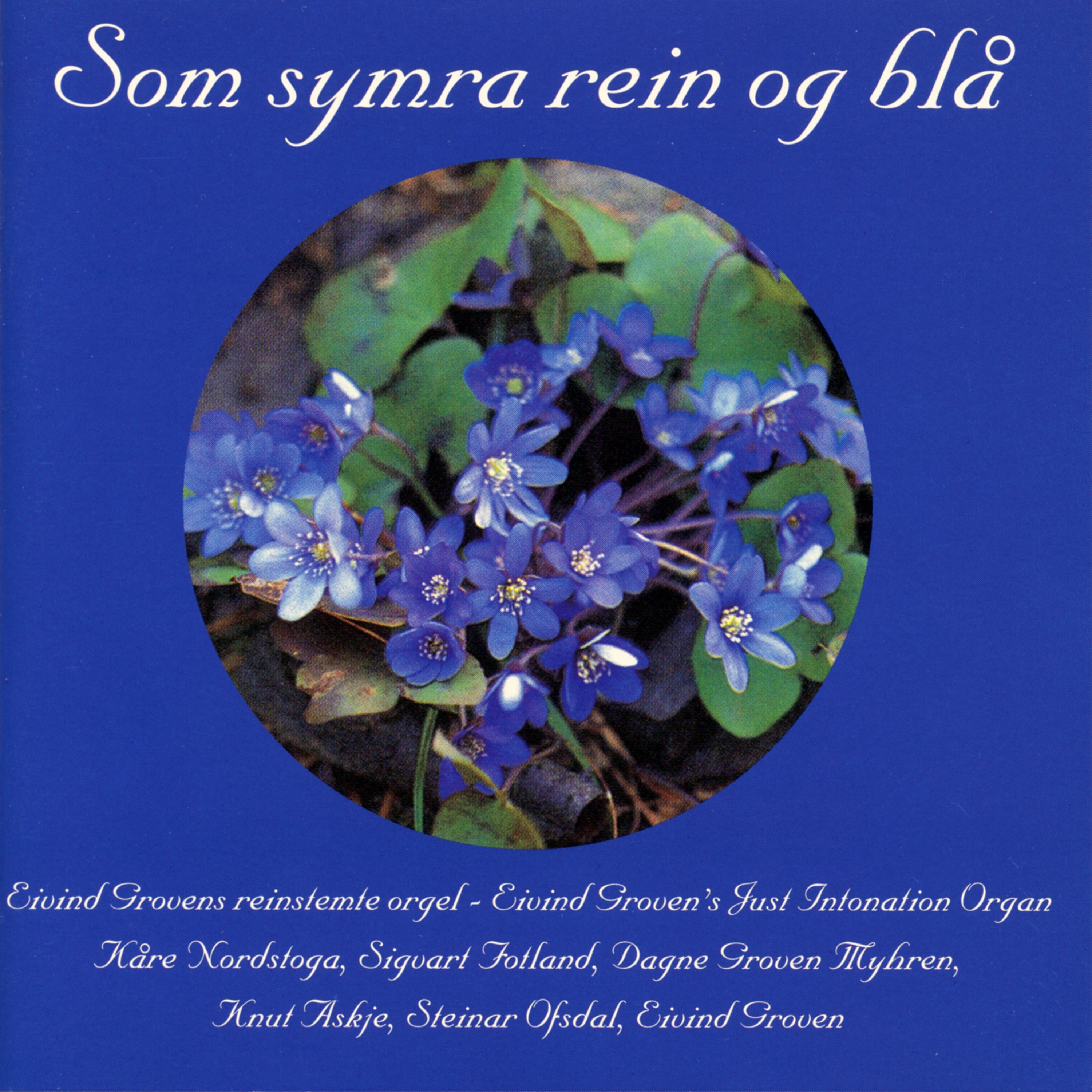 Постер альбома Som Symra Rein Og Blå