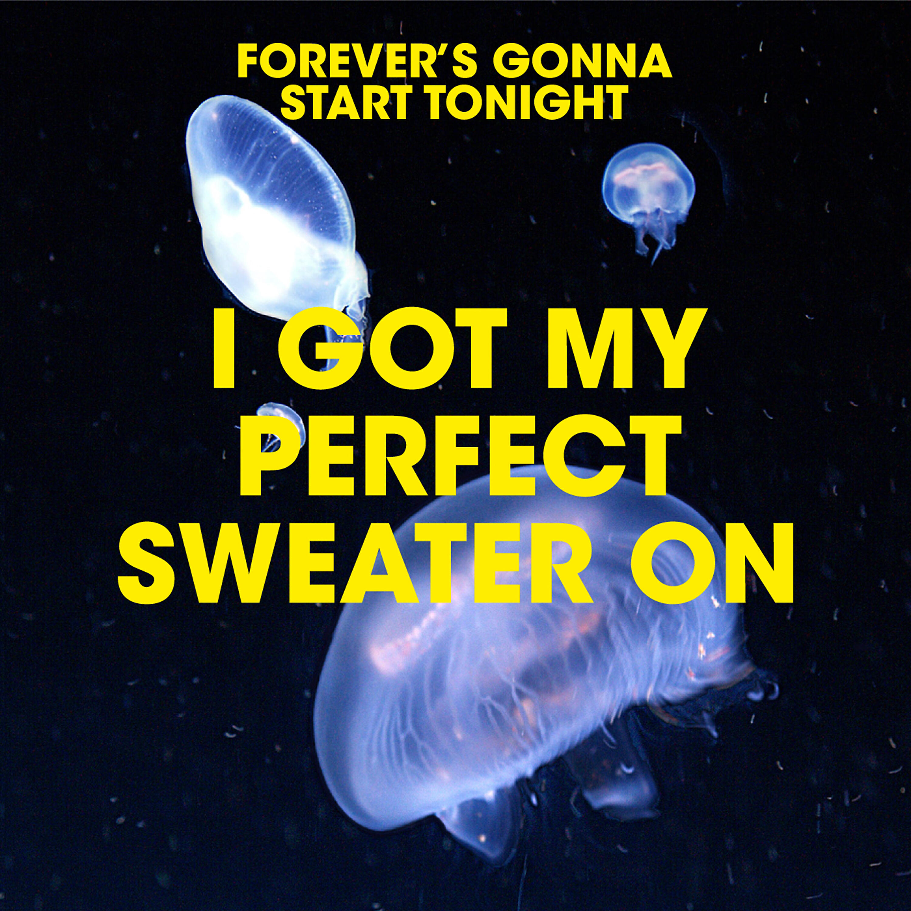 Forever's Gonna Start Tonight - Great Expectations