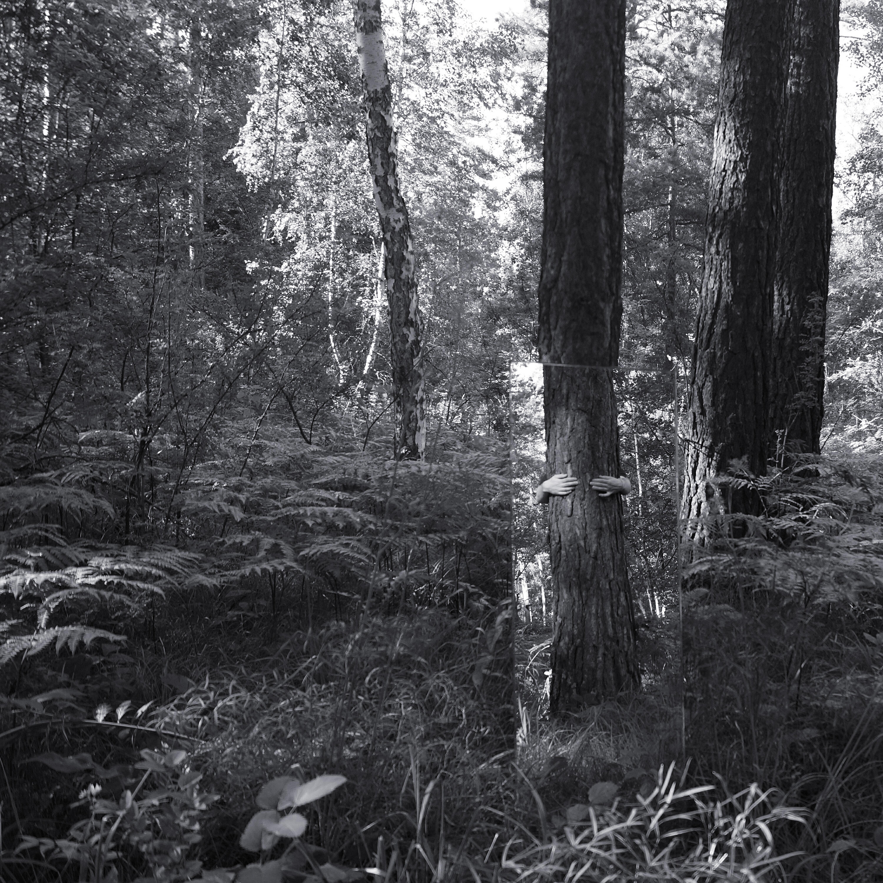 NotNotice - Northe