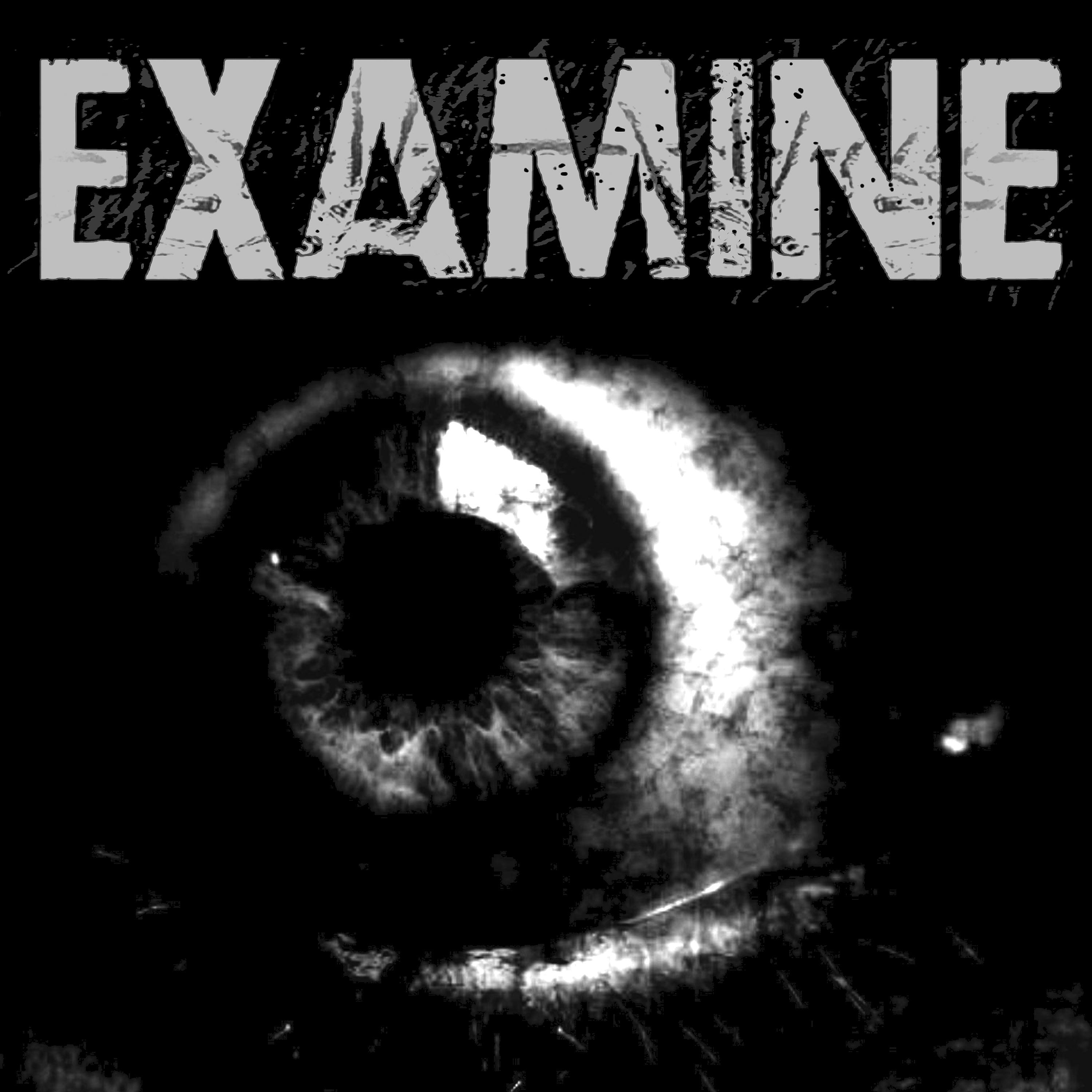 Постер альбома Examine