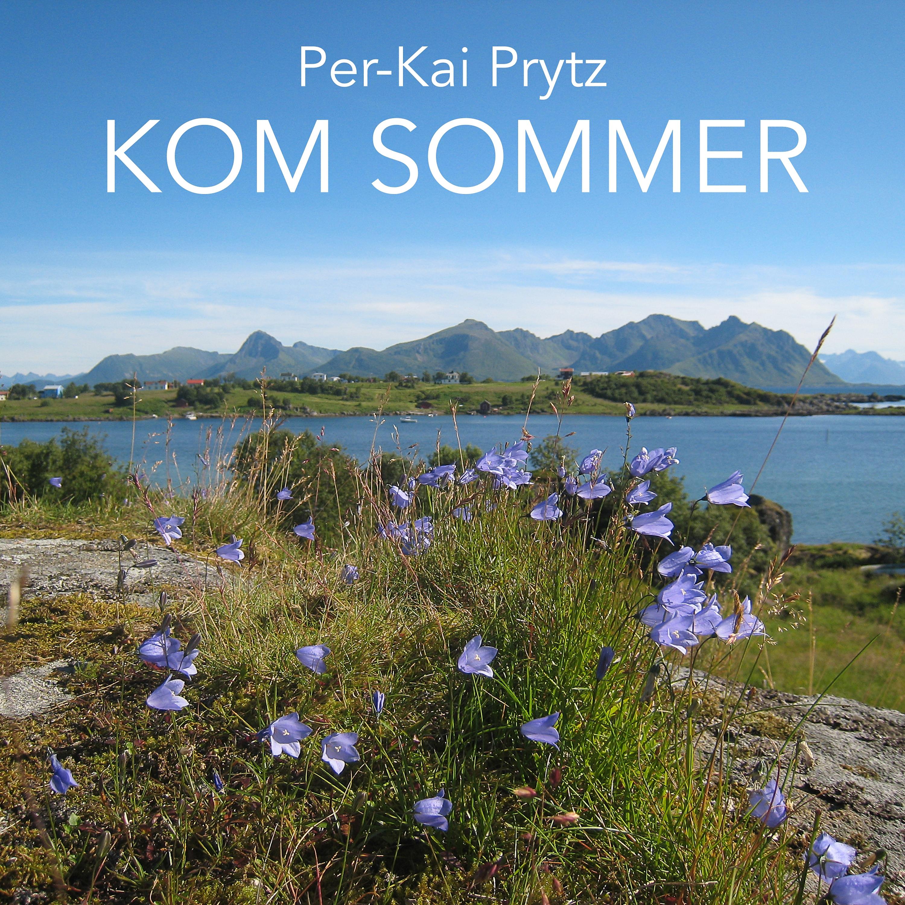 Постер альбома Kom Sommer