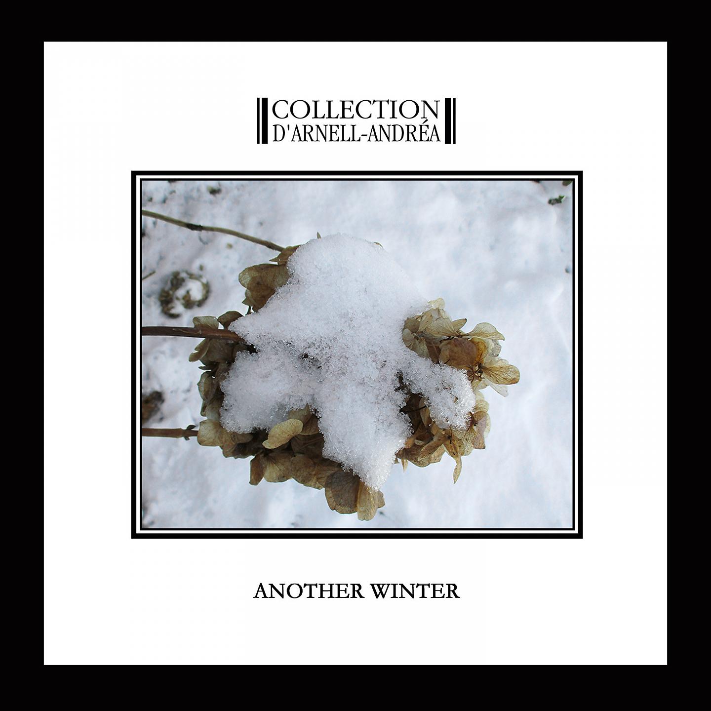Постер альбома Another Winter