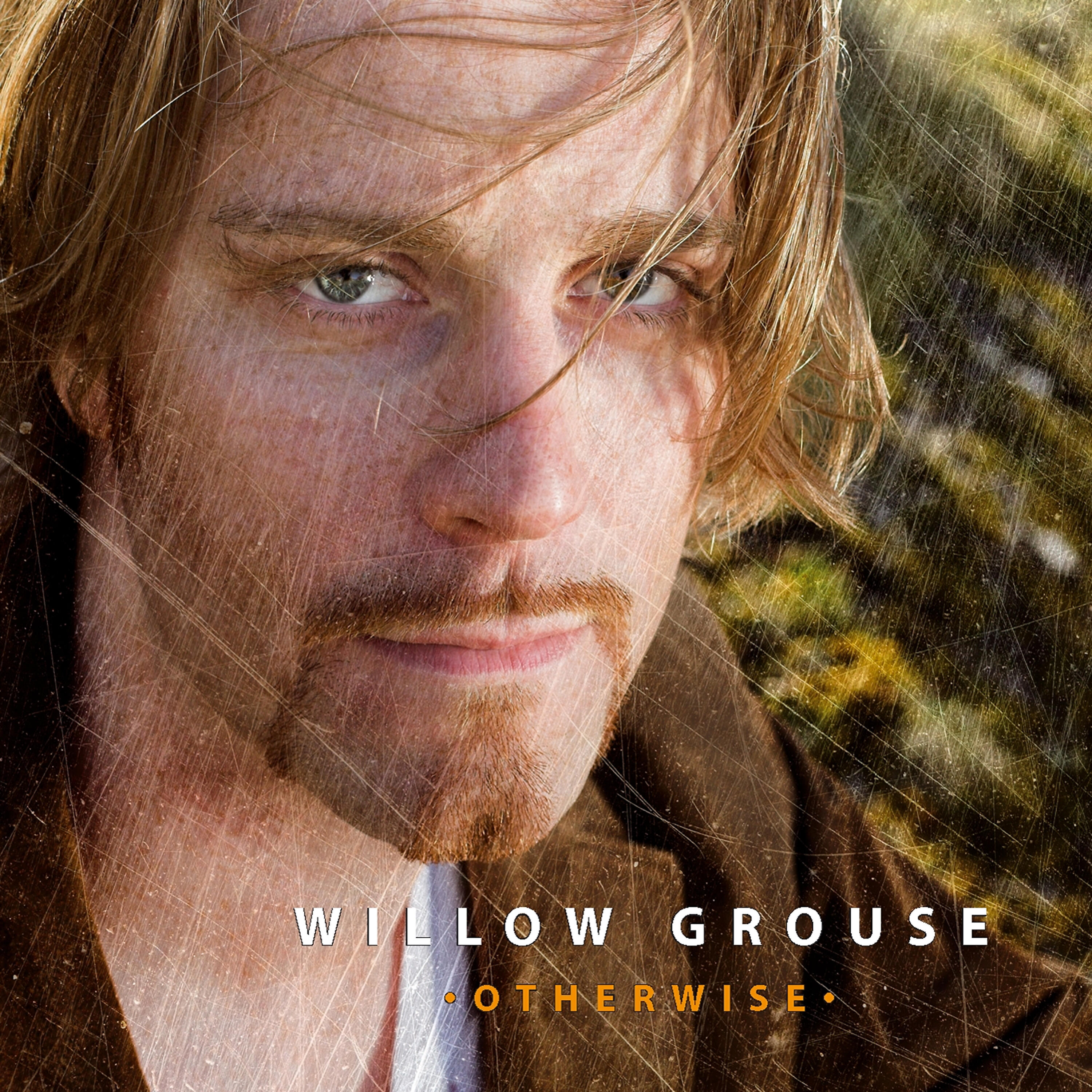 Willow Grouse - It Would Hurt so Bad to See You Go