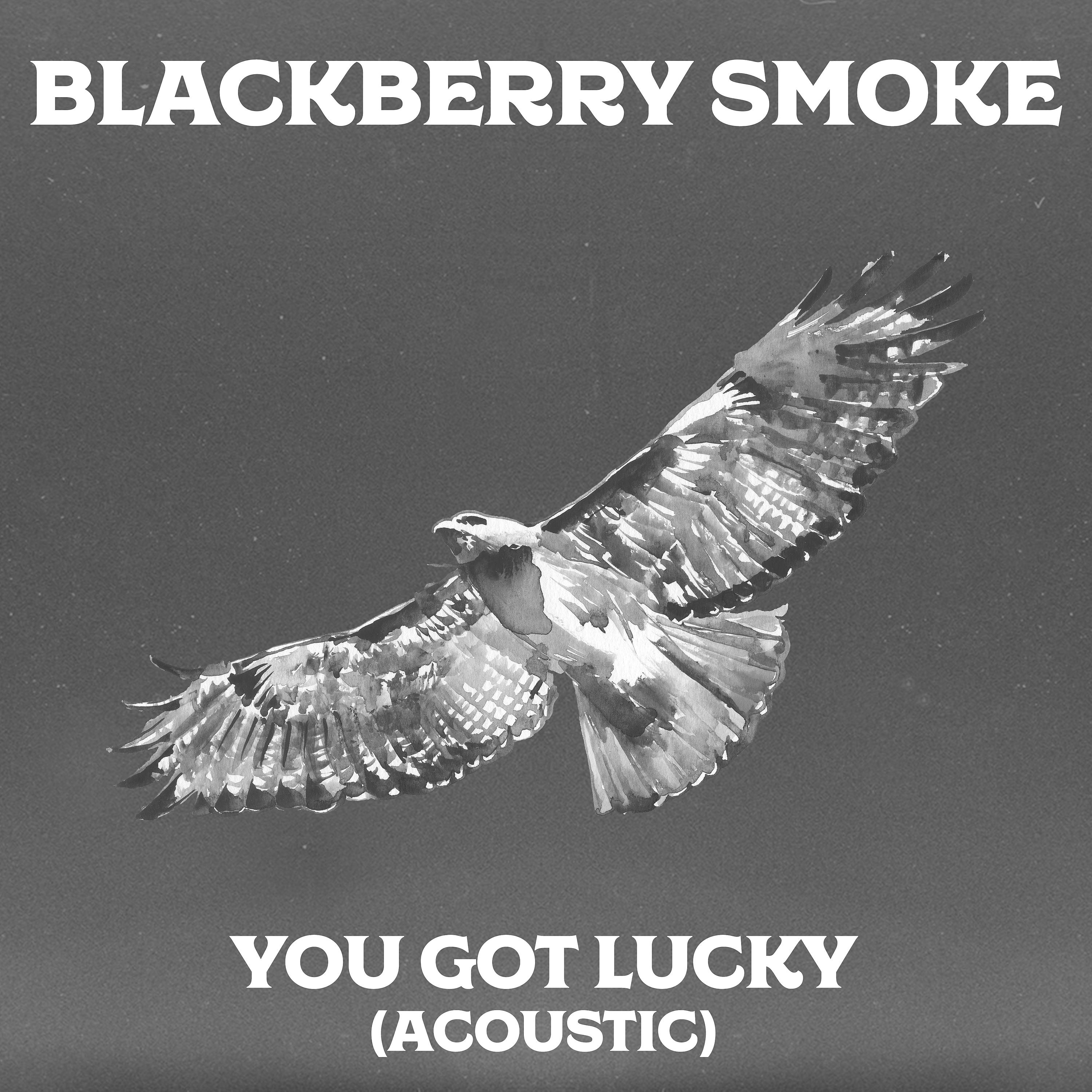 Постер альбома You Got Lucky (feat. Amanda Shires) [Acoustic Version]