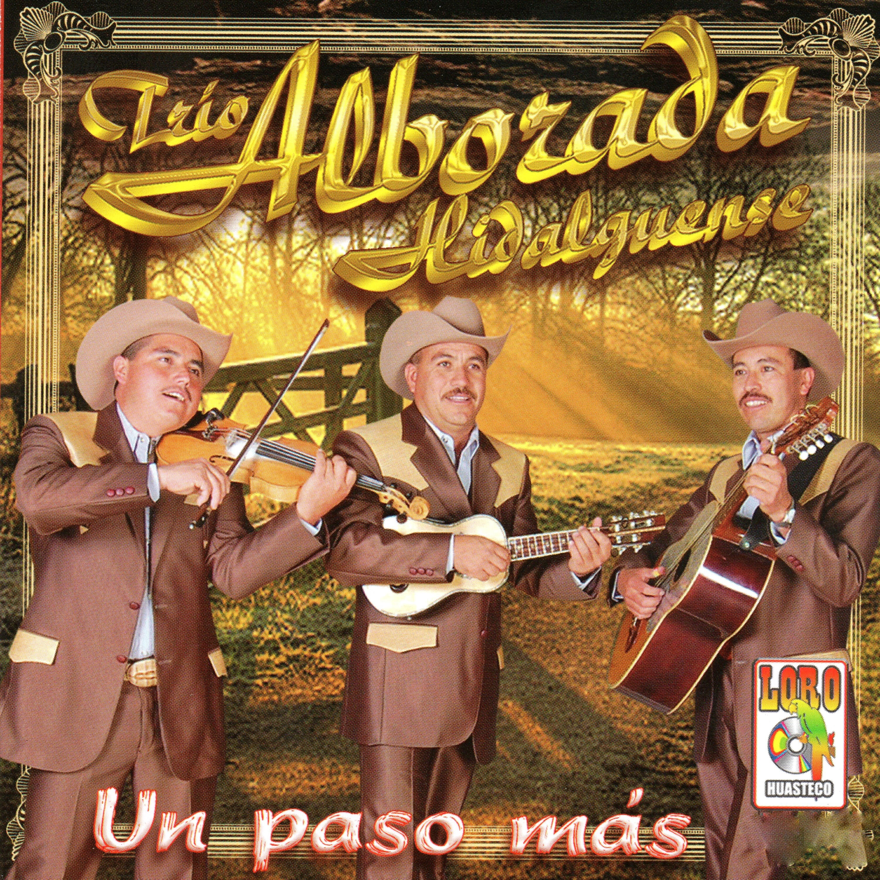 Trio Alborada Higalguense - Reconozco Que Tengo la Culpa