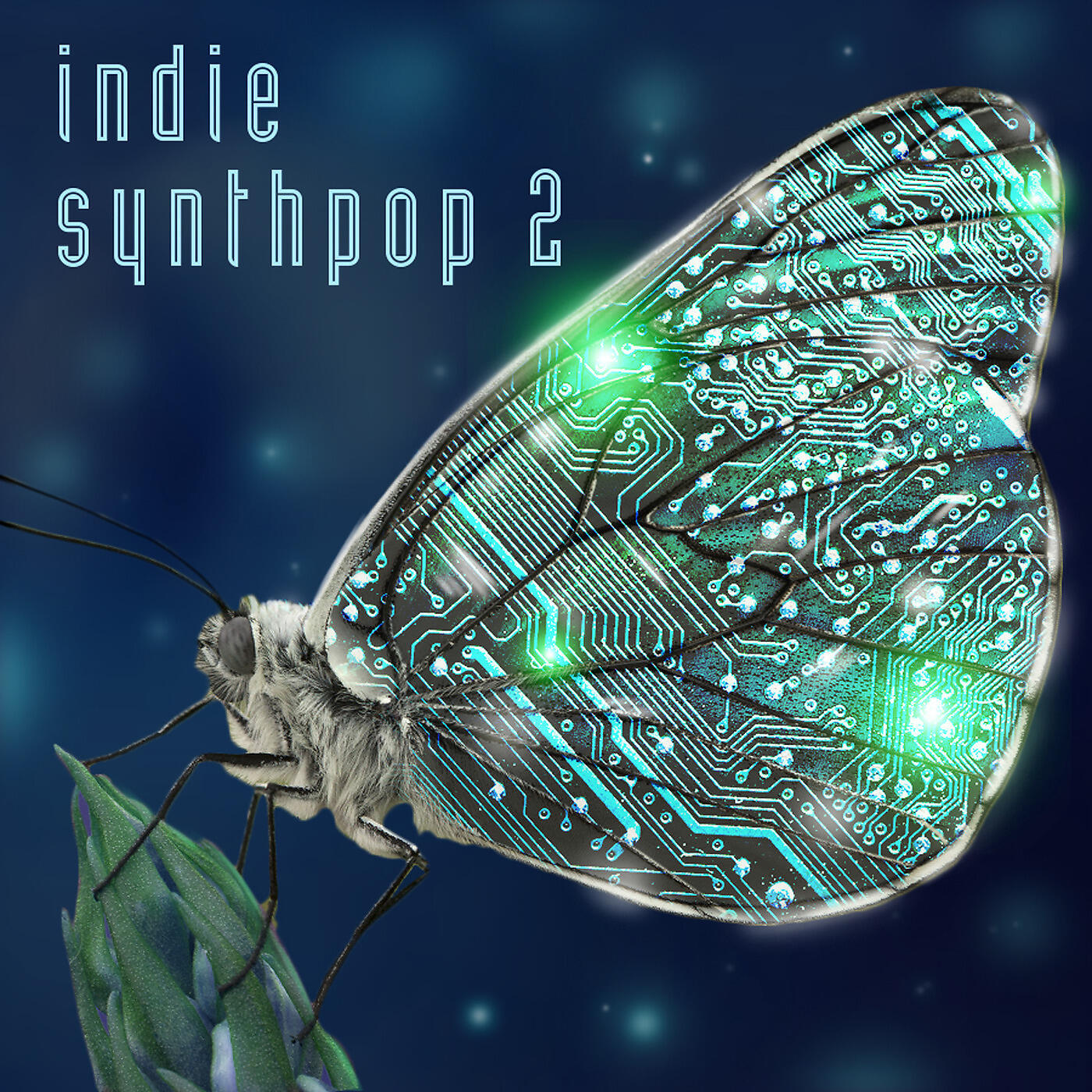 VARIOUS ARTISTS - Not Worth Keeping