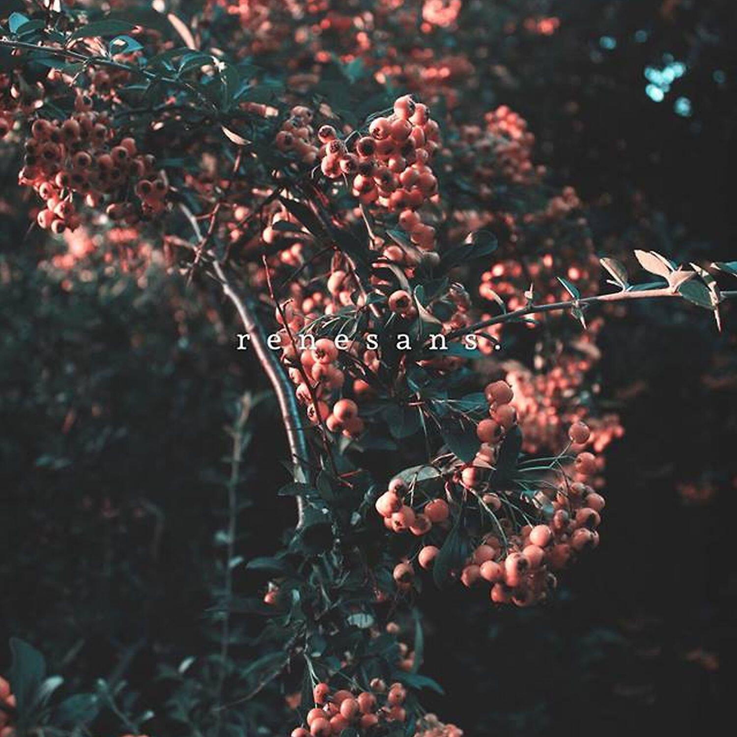 Tymek - 911