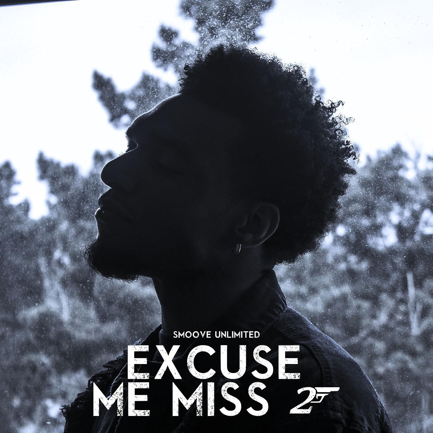 Постер альбома Excuse Me Miss 2