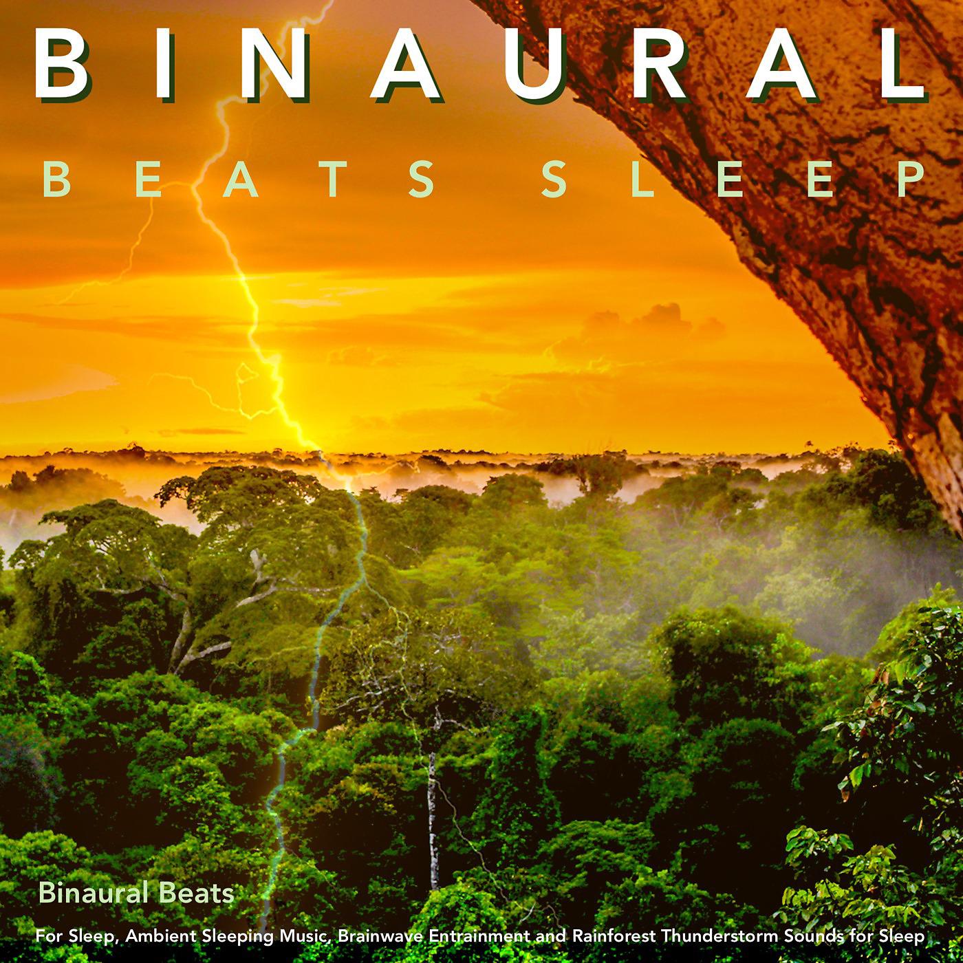 Постер альбома Binaural Beats for Sleep, Ambient Sleeping Music, Brainwave Entrainment and Rainforest Thunderstorm Sounds for Sleep