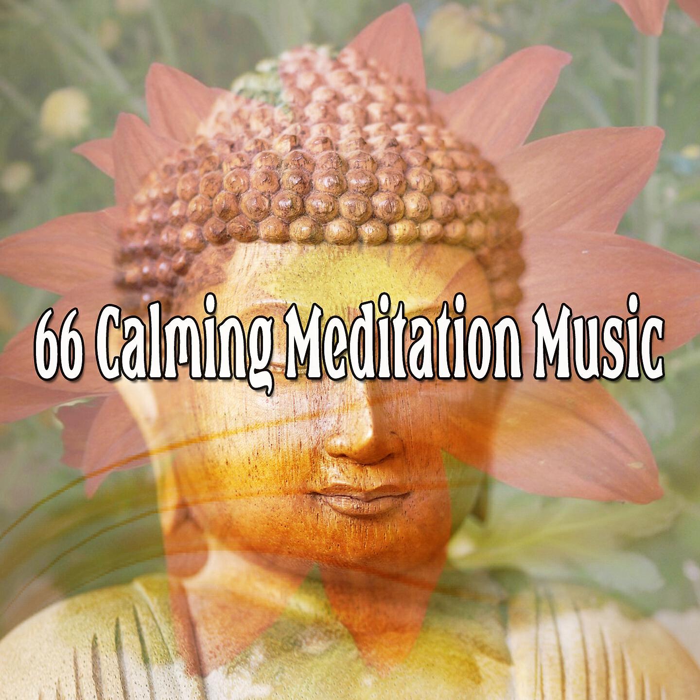 Yoga Soul - Tranquil Adventures