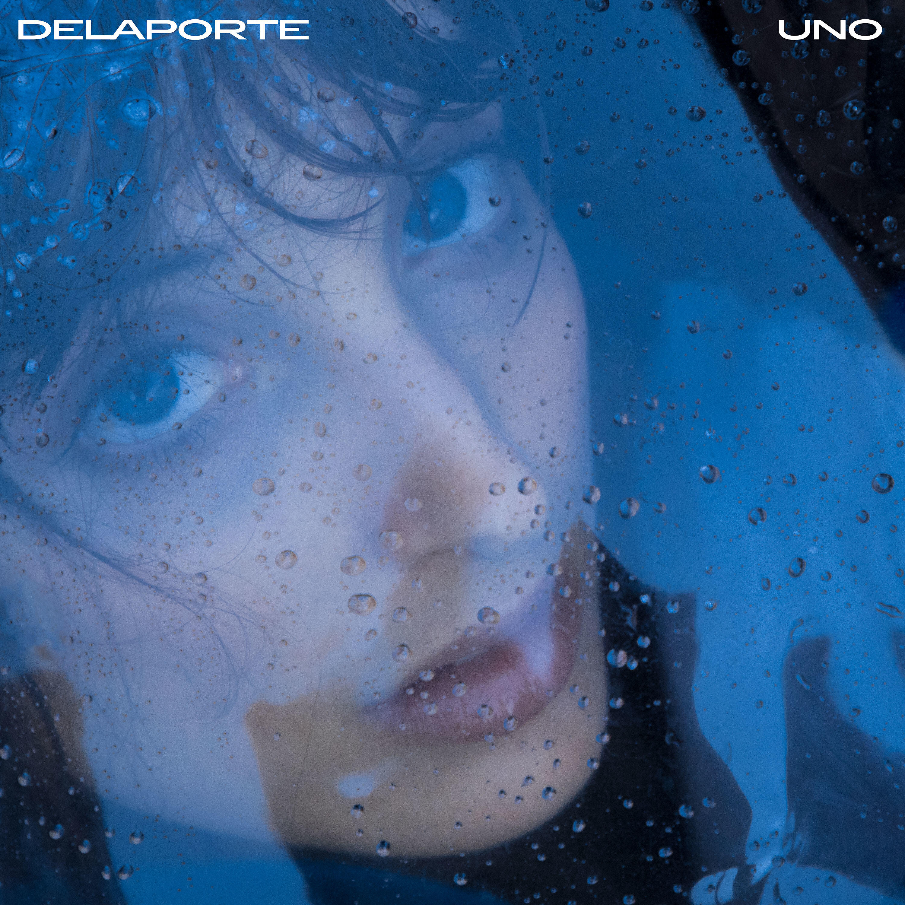 Delaporte - Un Jardín