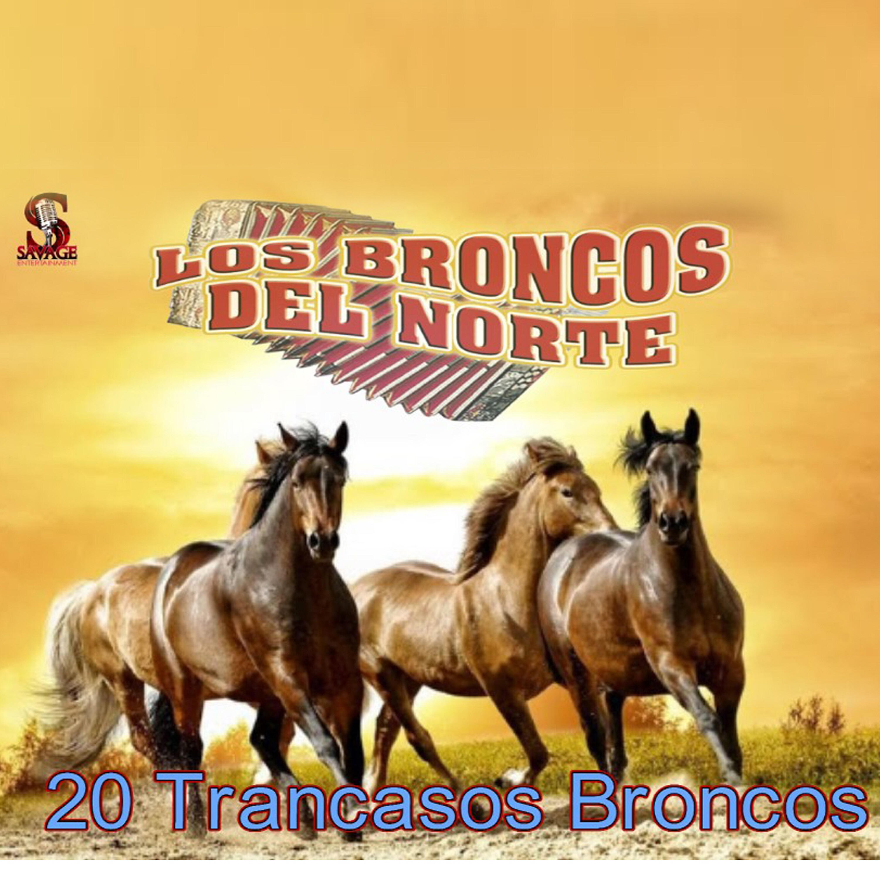 Los Broncos del Norte - El Sueno del Ilegal