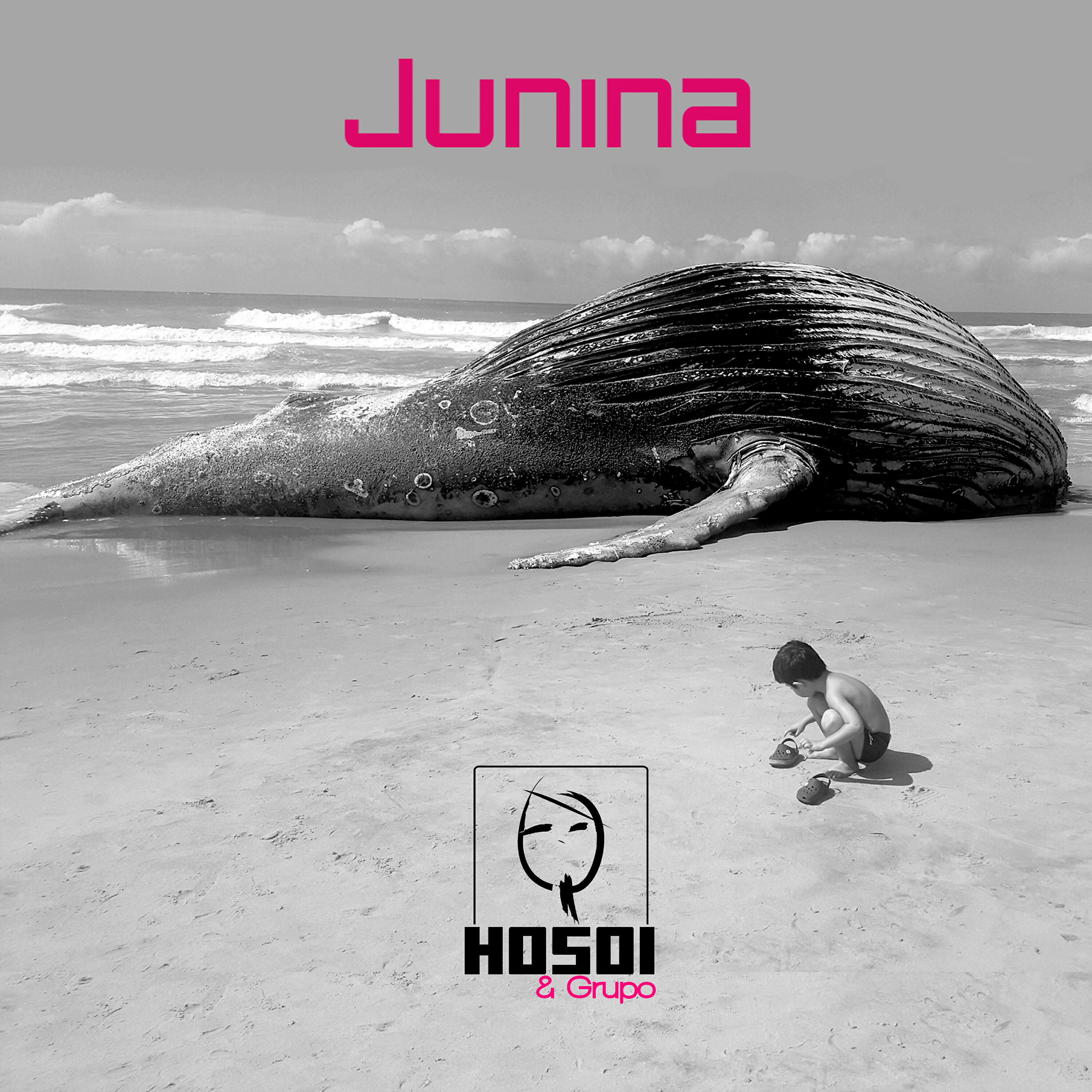André Hosoi - Choro Pro Guinga