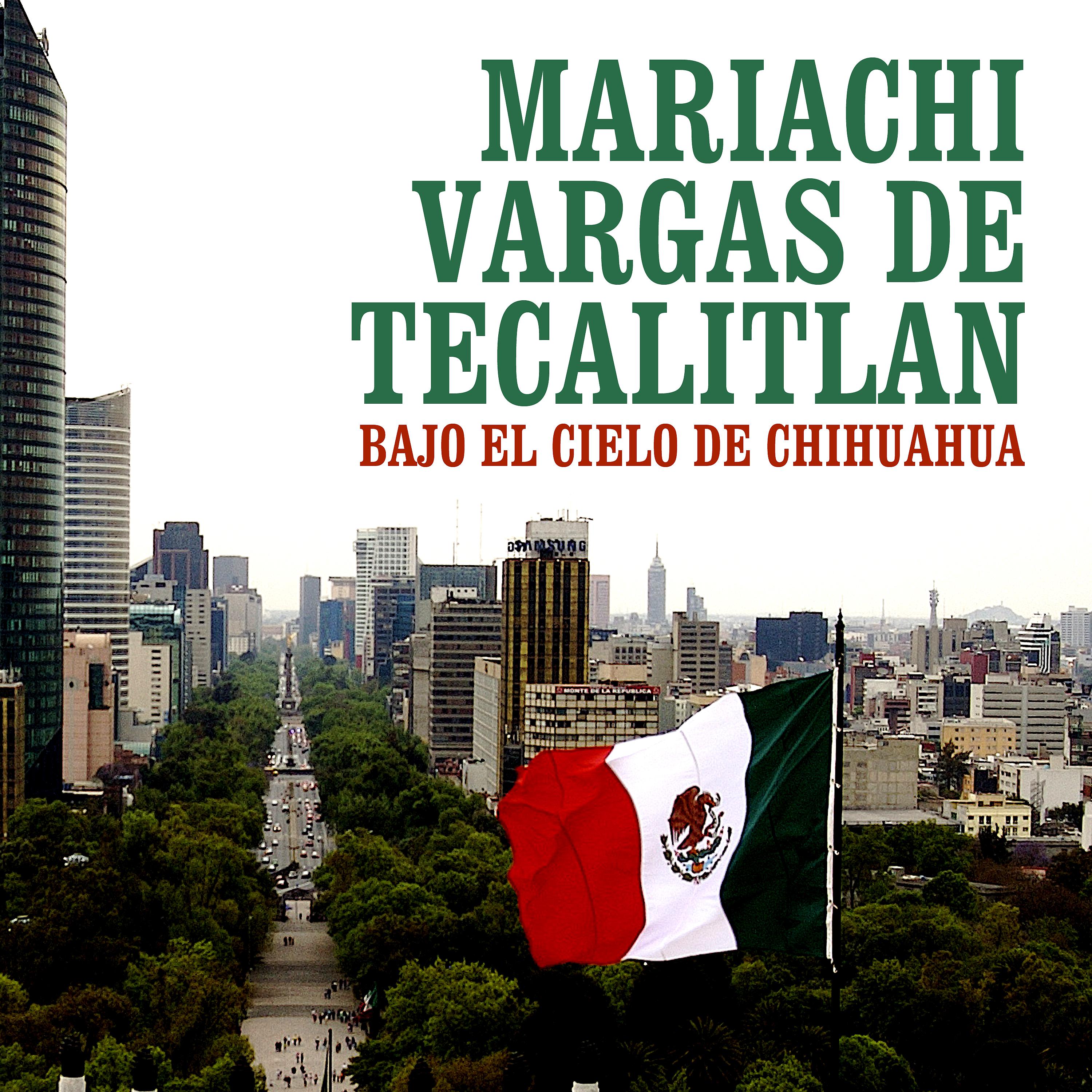 Постер альбома Bajo el Cielo de Chihuahua