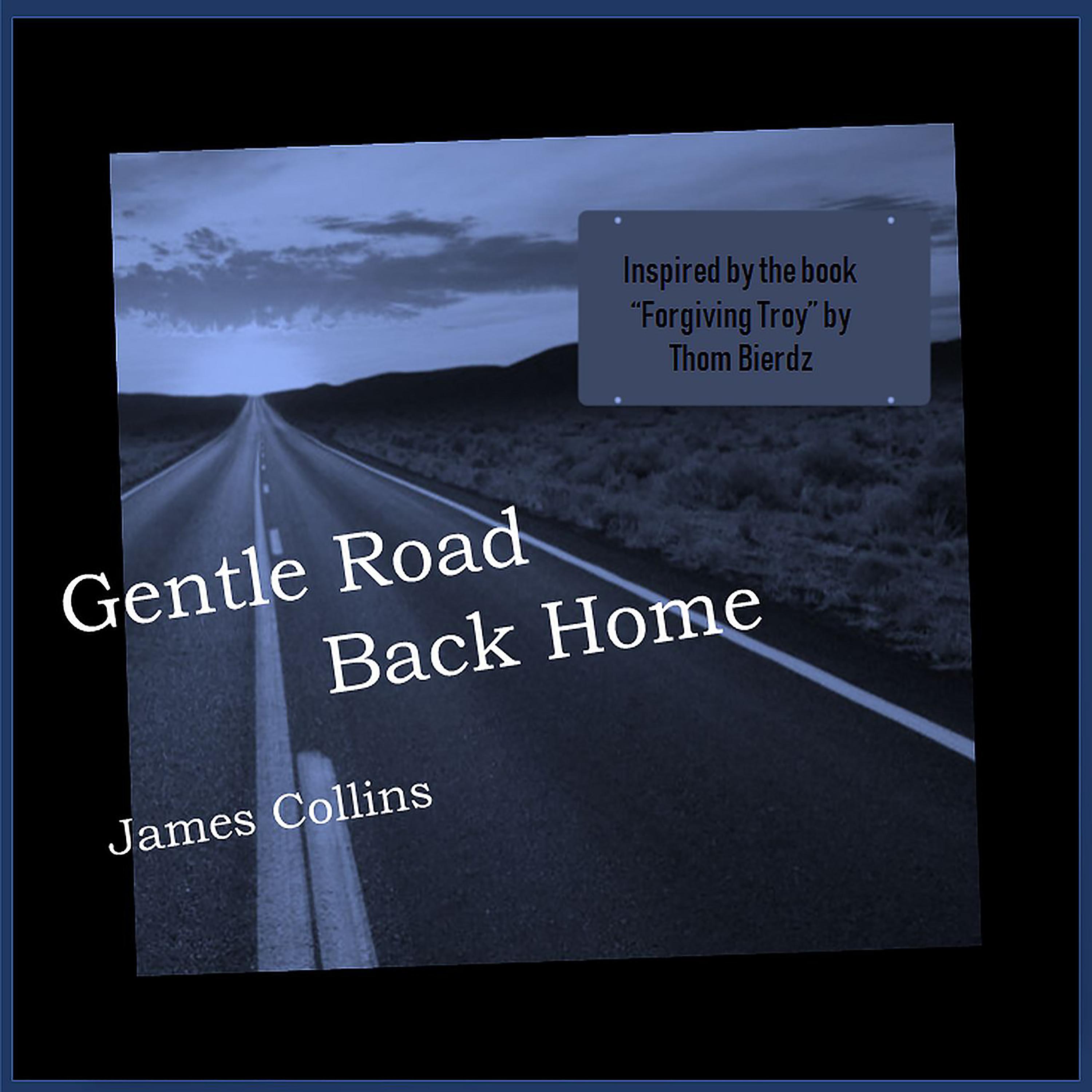 Постер альбома Gentle Road Back Home