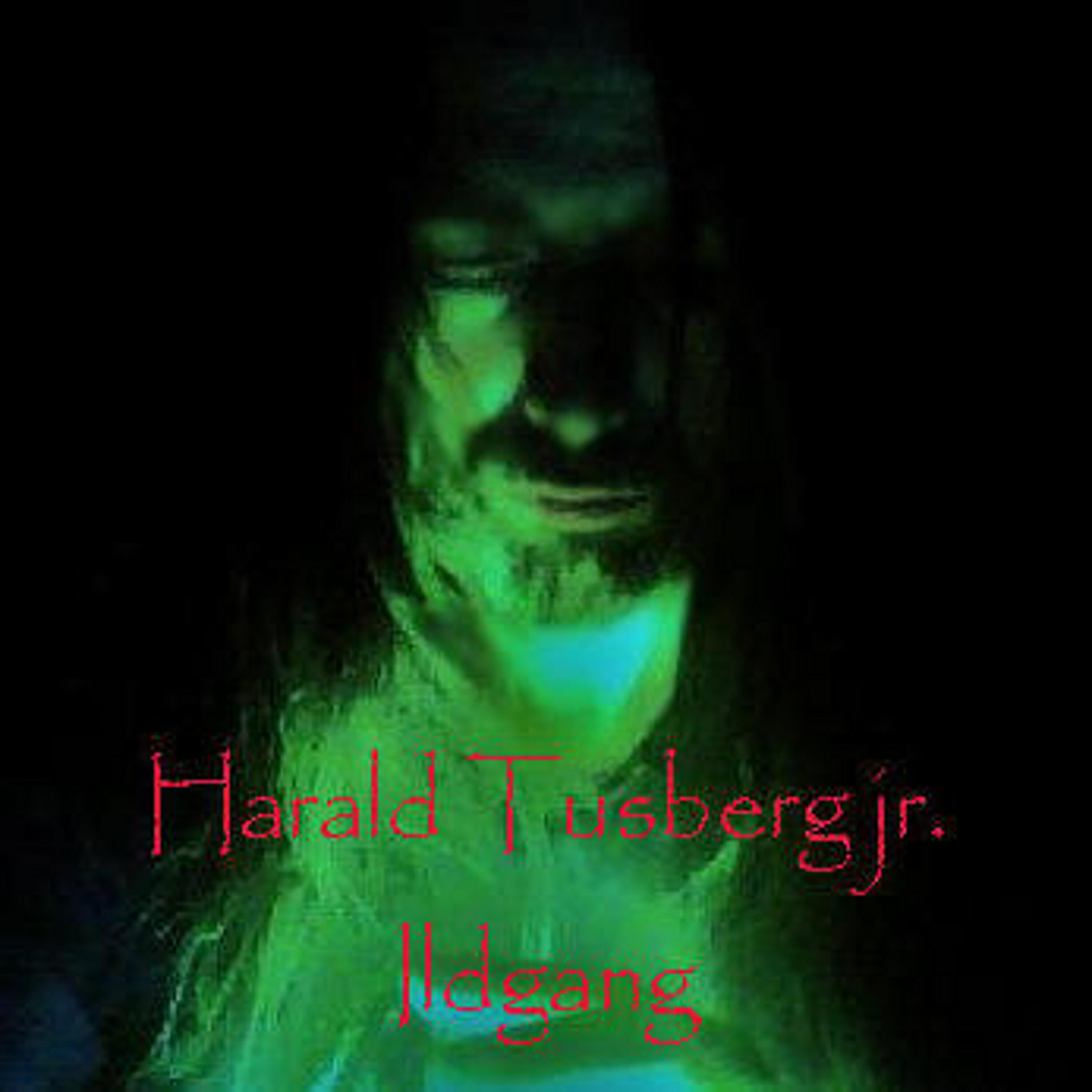 Harald Tusberg jr - Sersjant Yokoi Sin Ringe Bolig (2)
