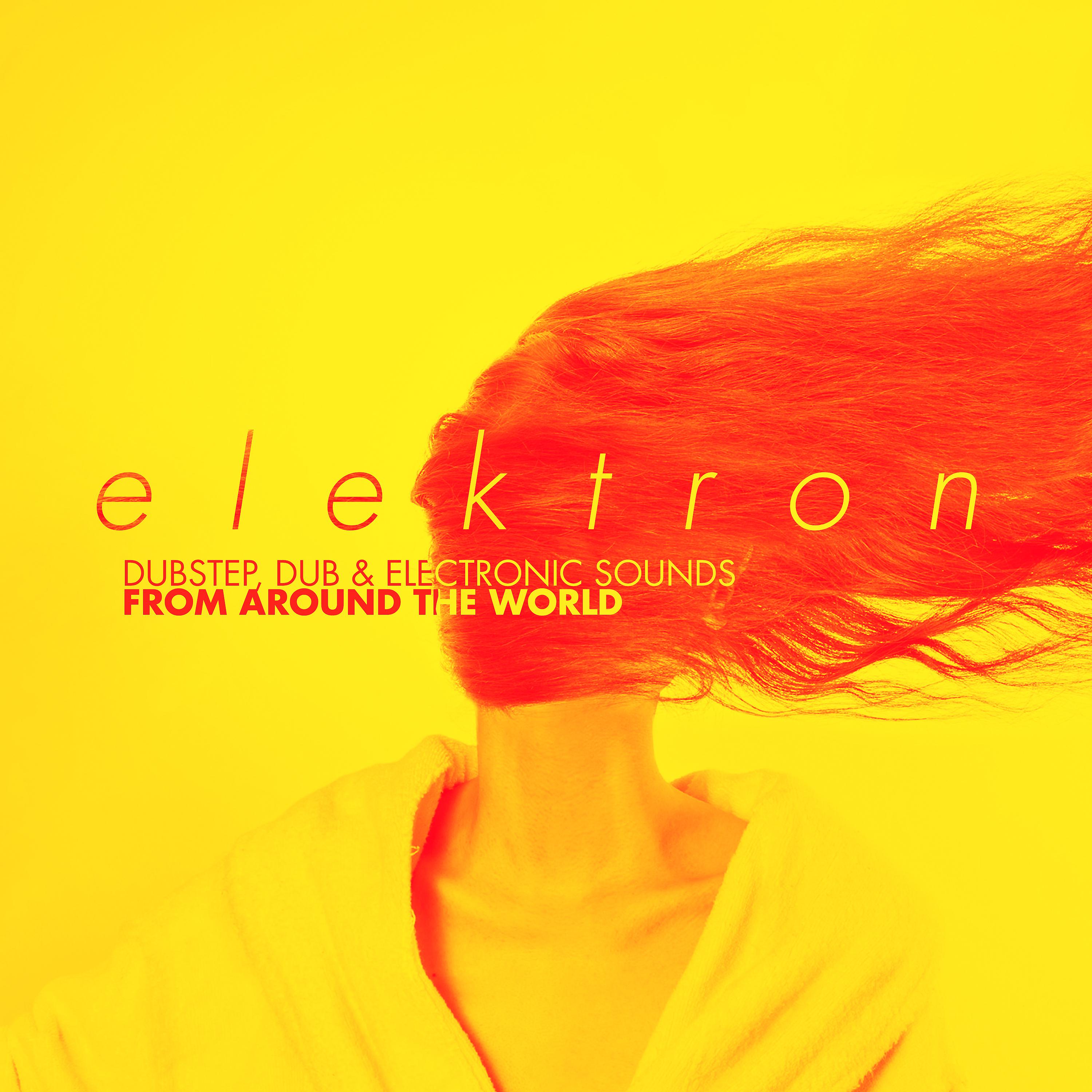 Постер альбома Elektron