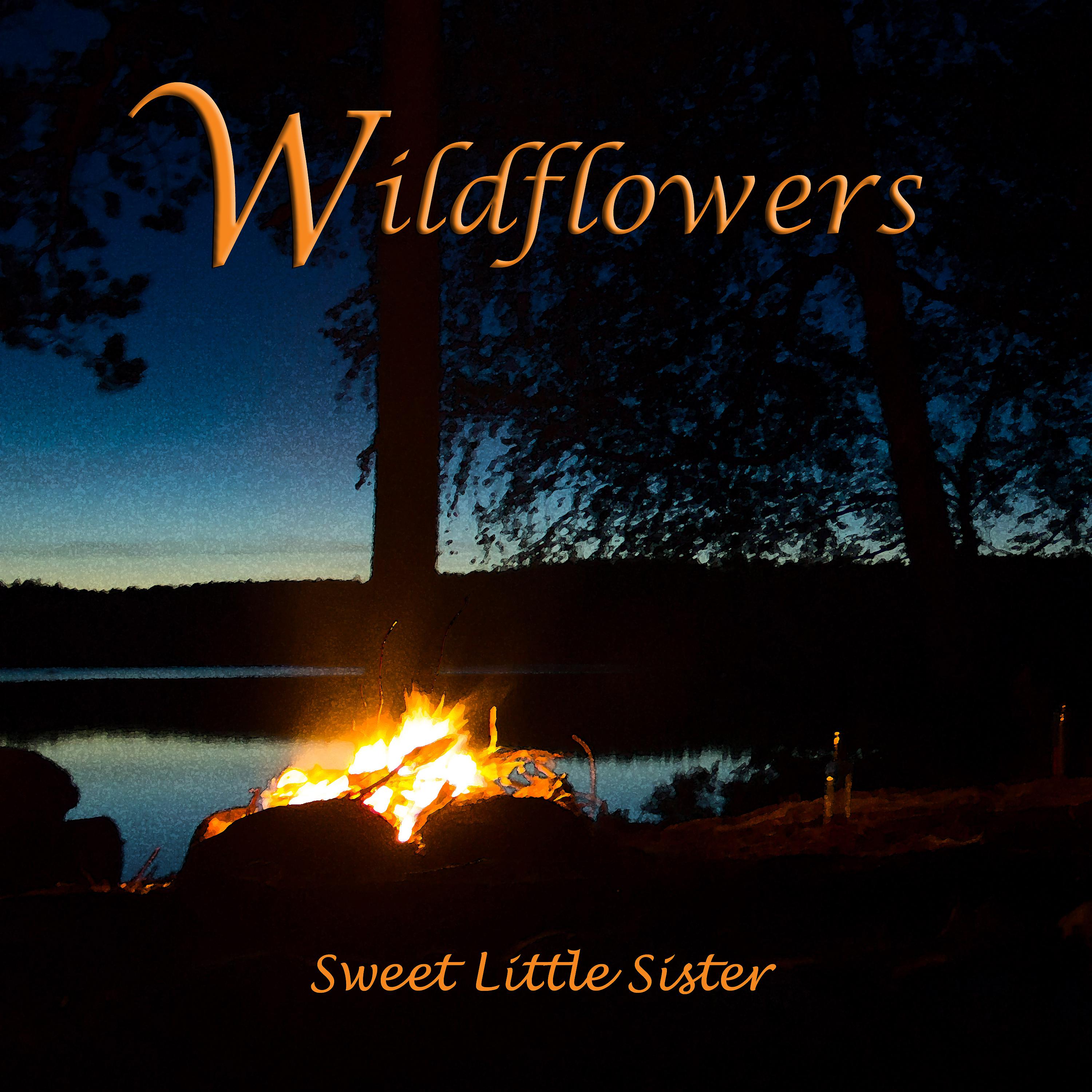 Постер альбома Sweet Little Sister