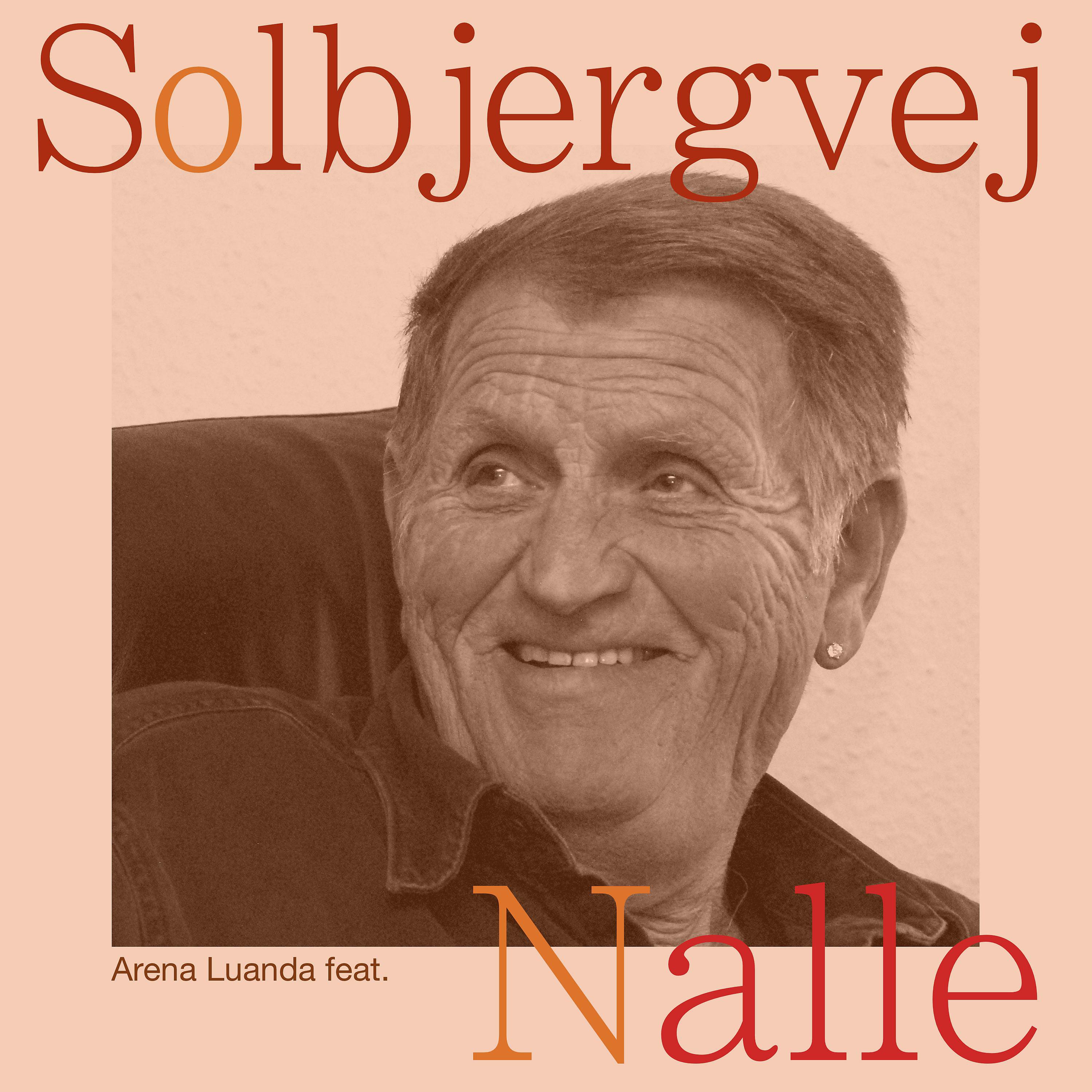 Постер альбома Solbjergvej