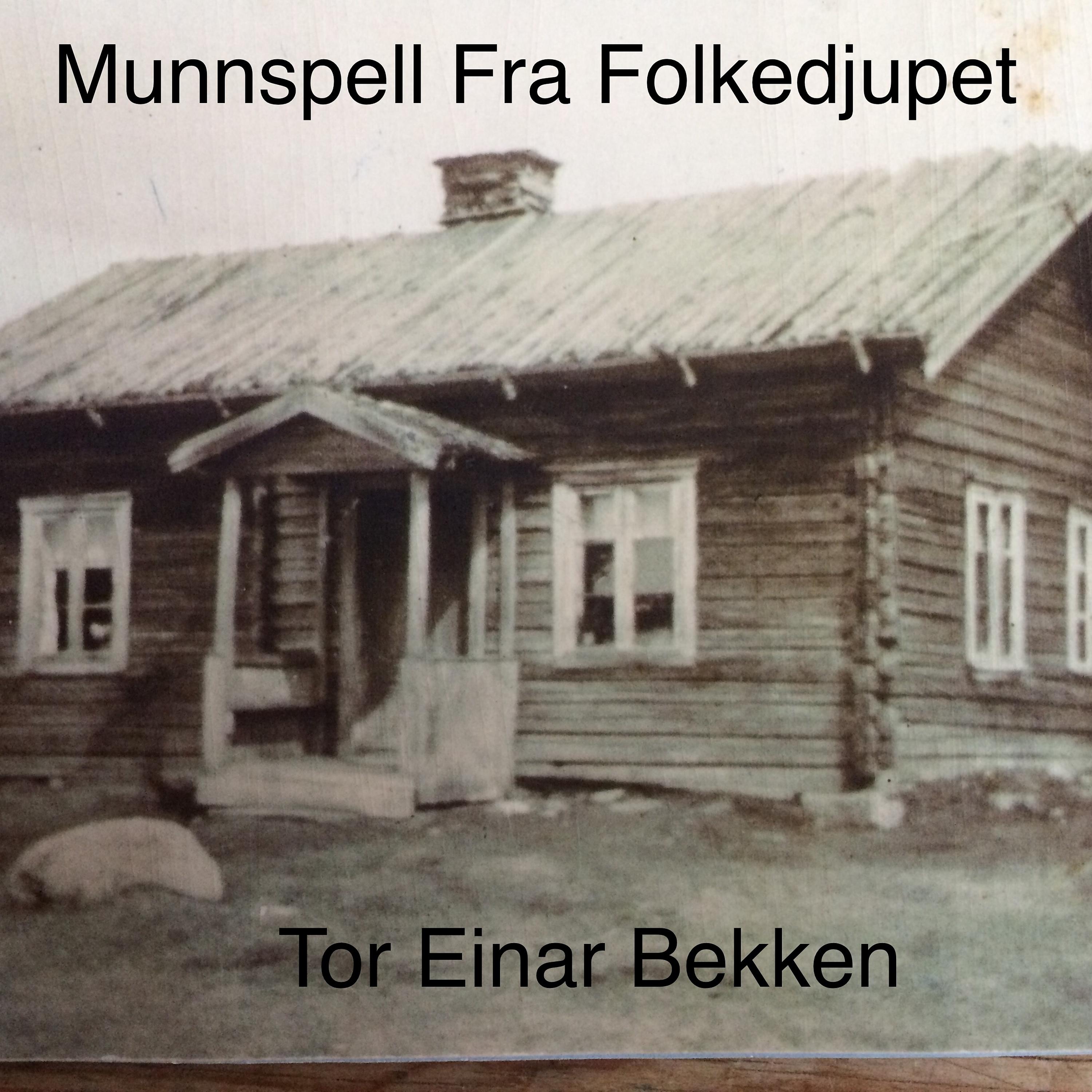 Постер альбома Munnspell Fra Folkedjupet