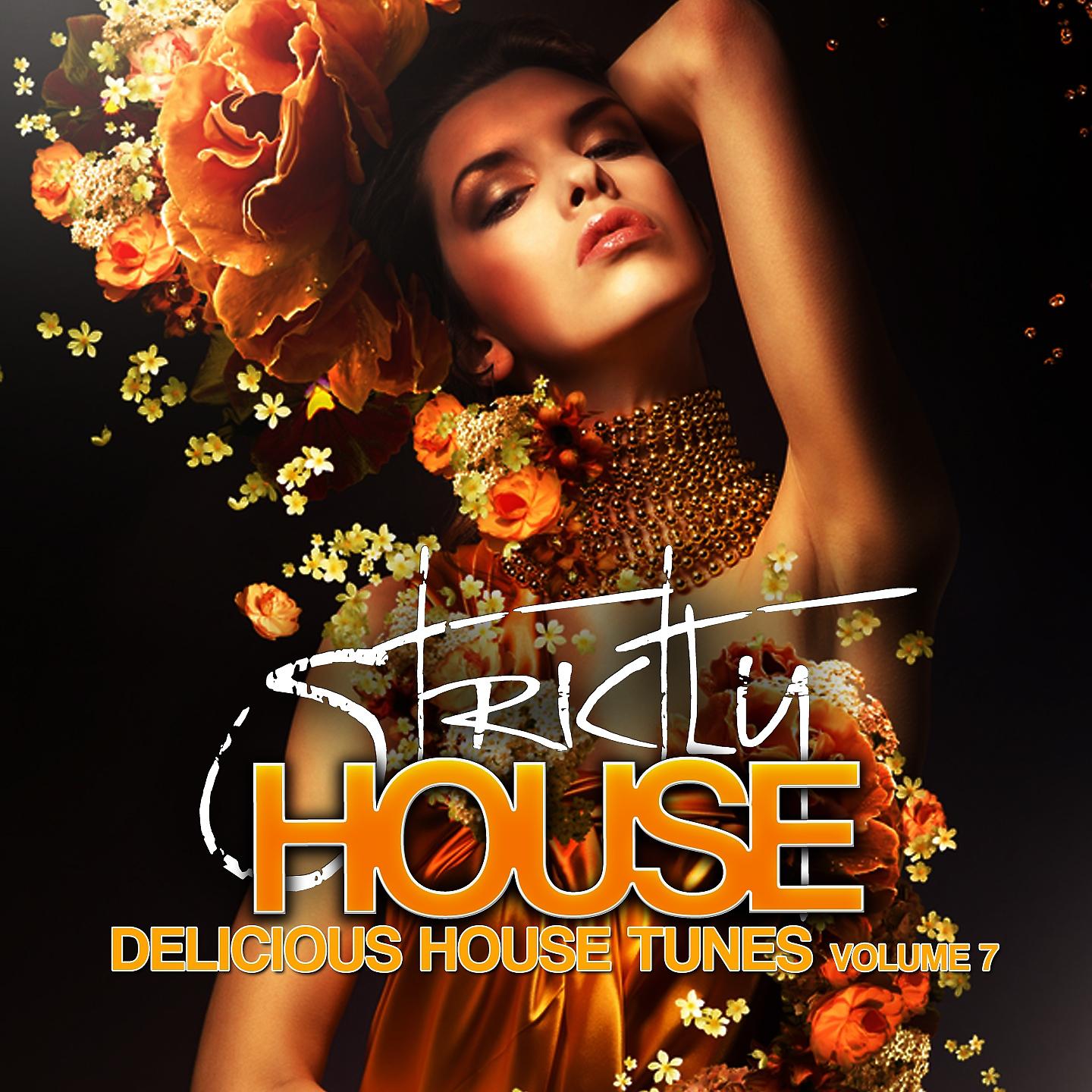 Постер альбома Strictly House - Delicious House Tunes, Vol. 7