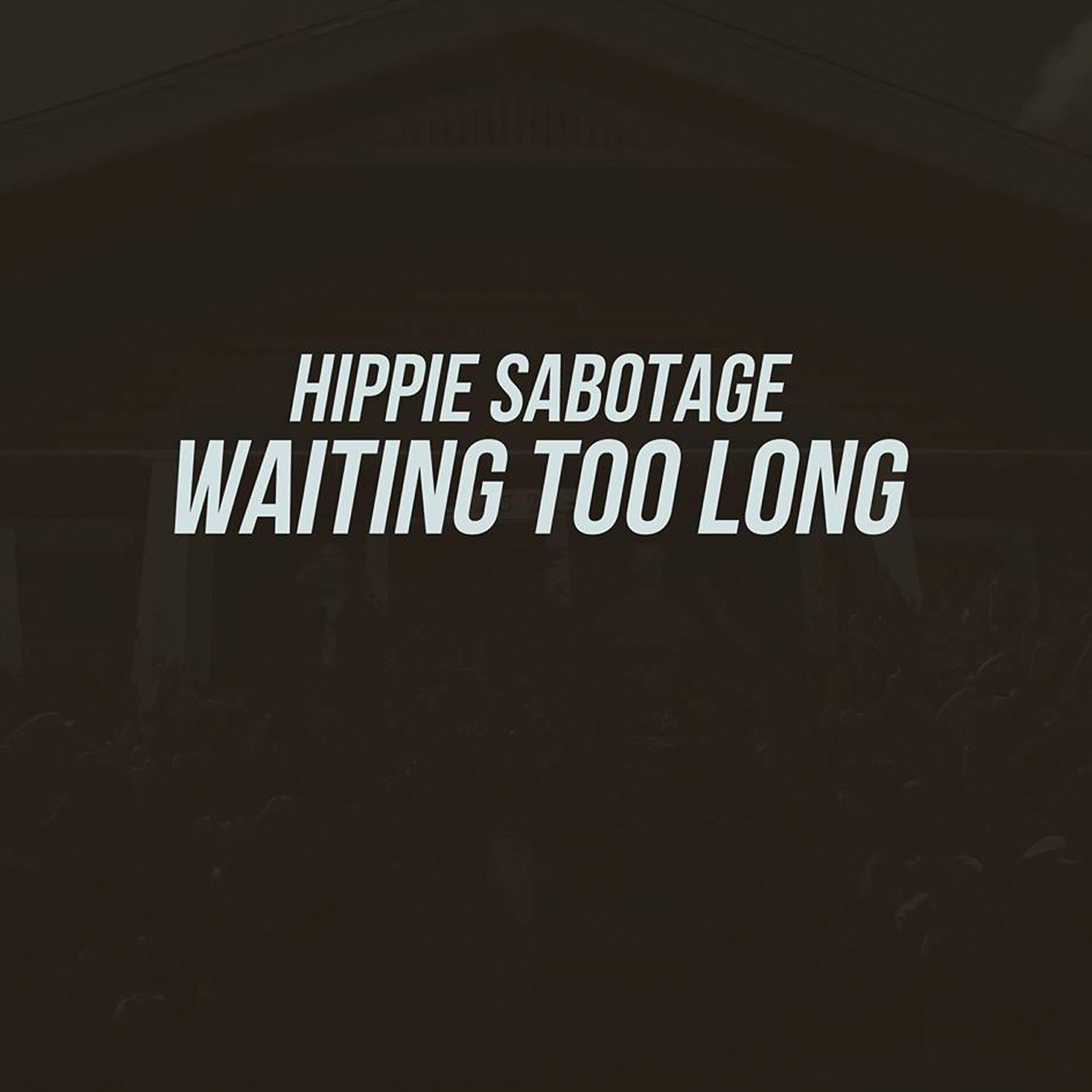 Hippie Sabotage - Waiting Too Long