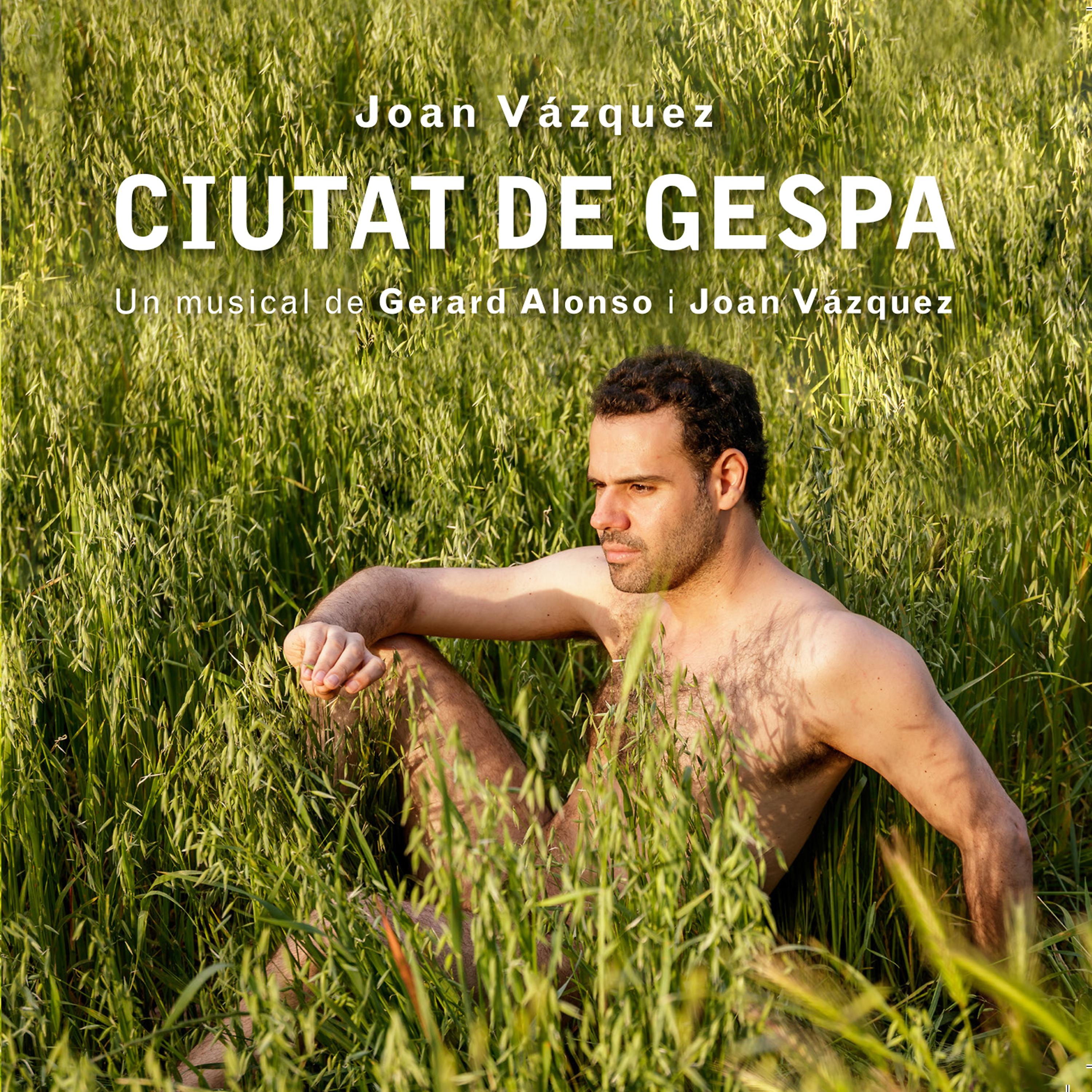 Постер альбома Ciutat de Gespa (Original Score)