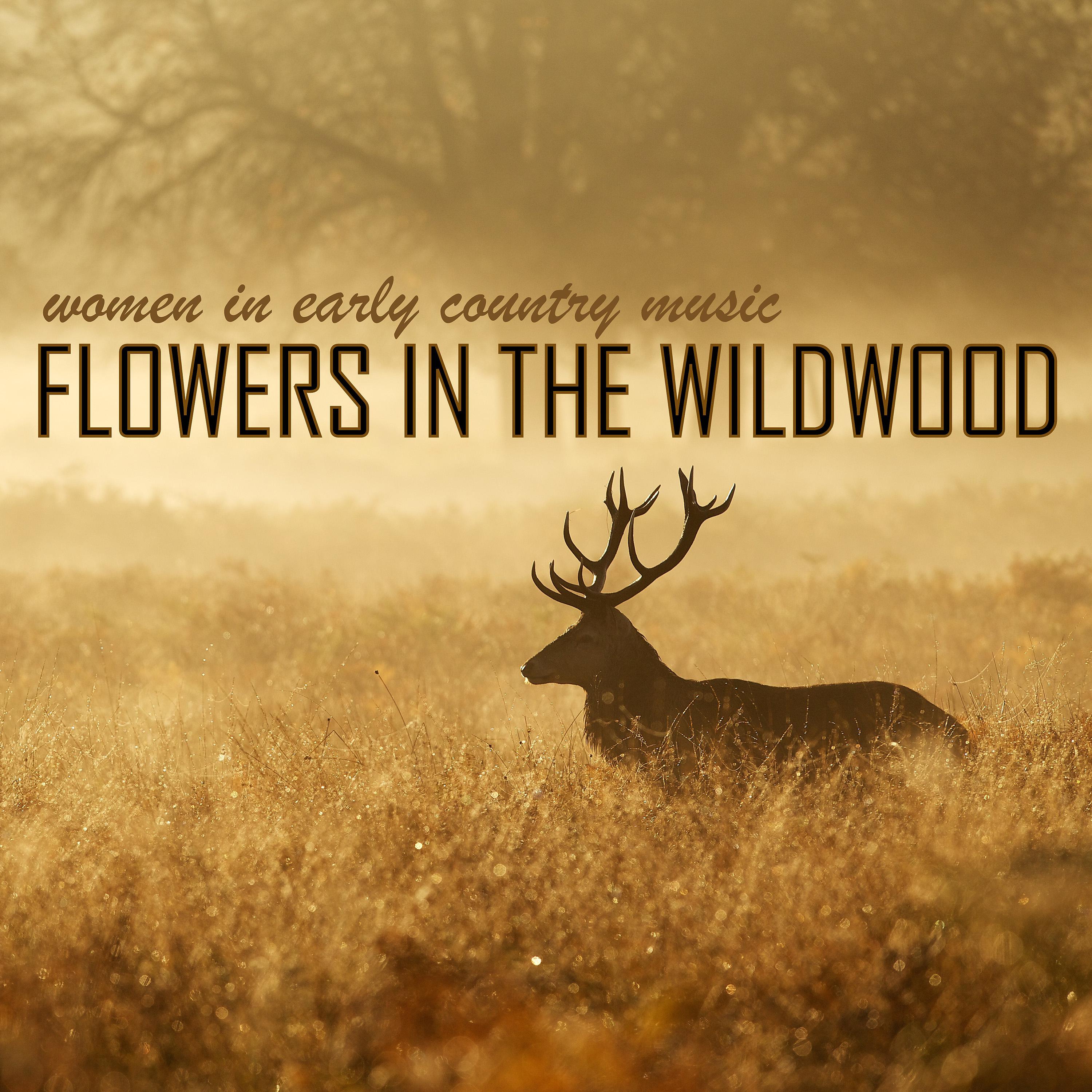 Постер альбома Flowers in the Wildwood - Women in Early Country Music