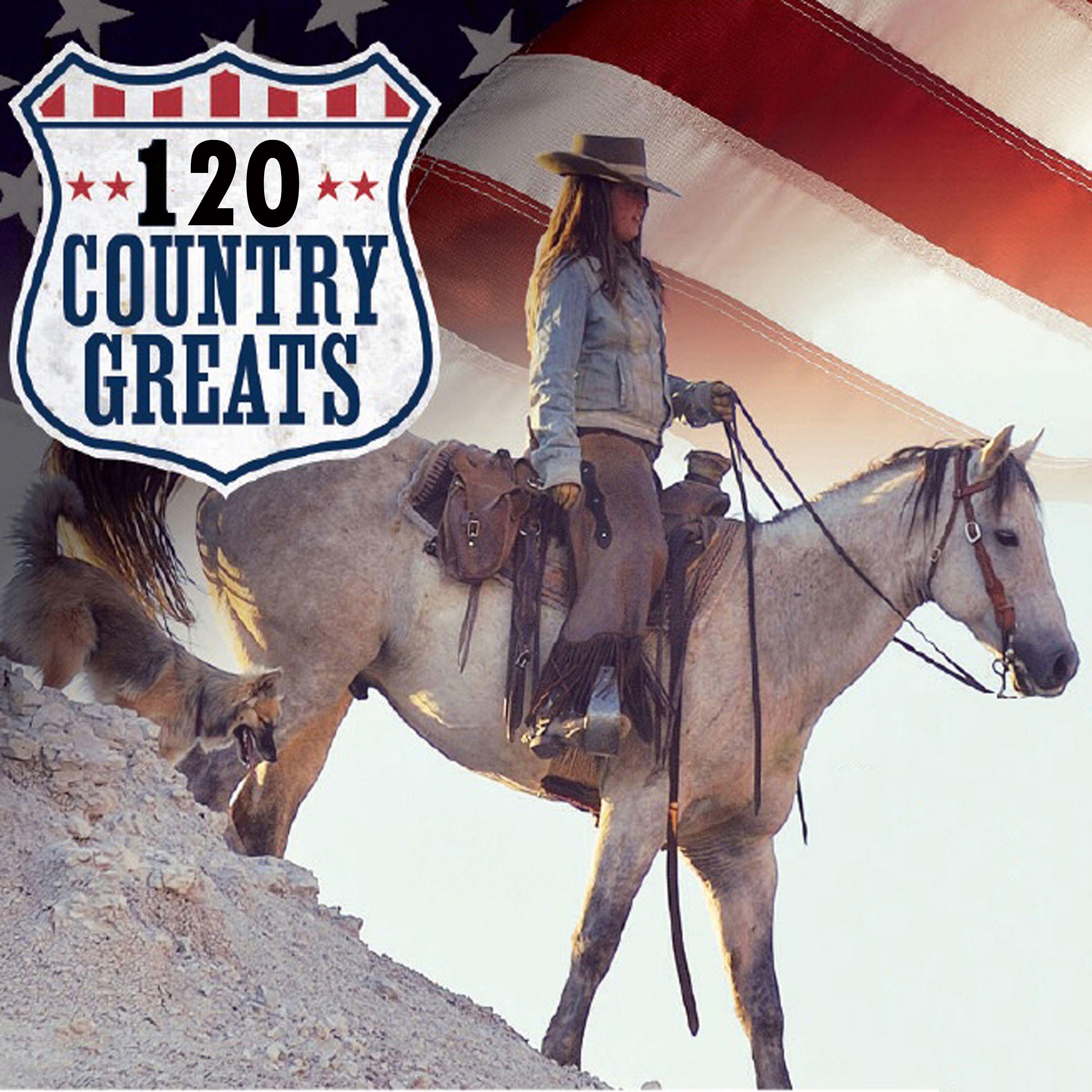 Постер альбома 120 Country Greats - Original Country Hits