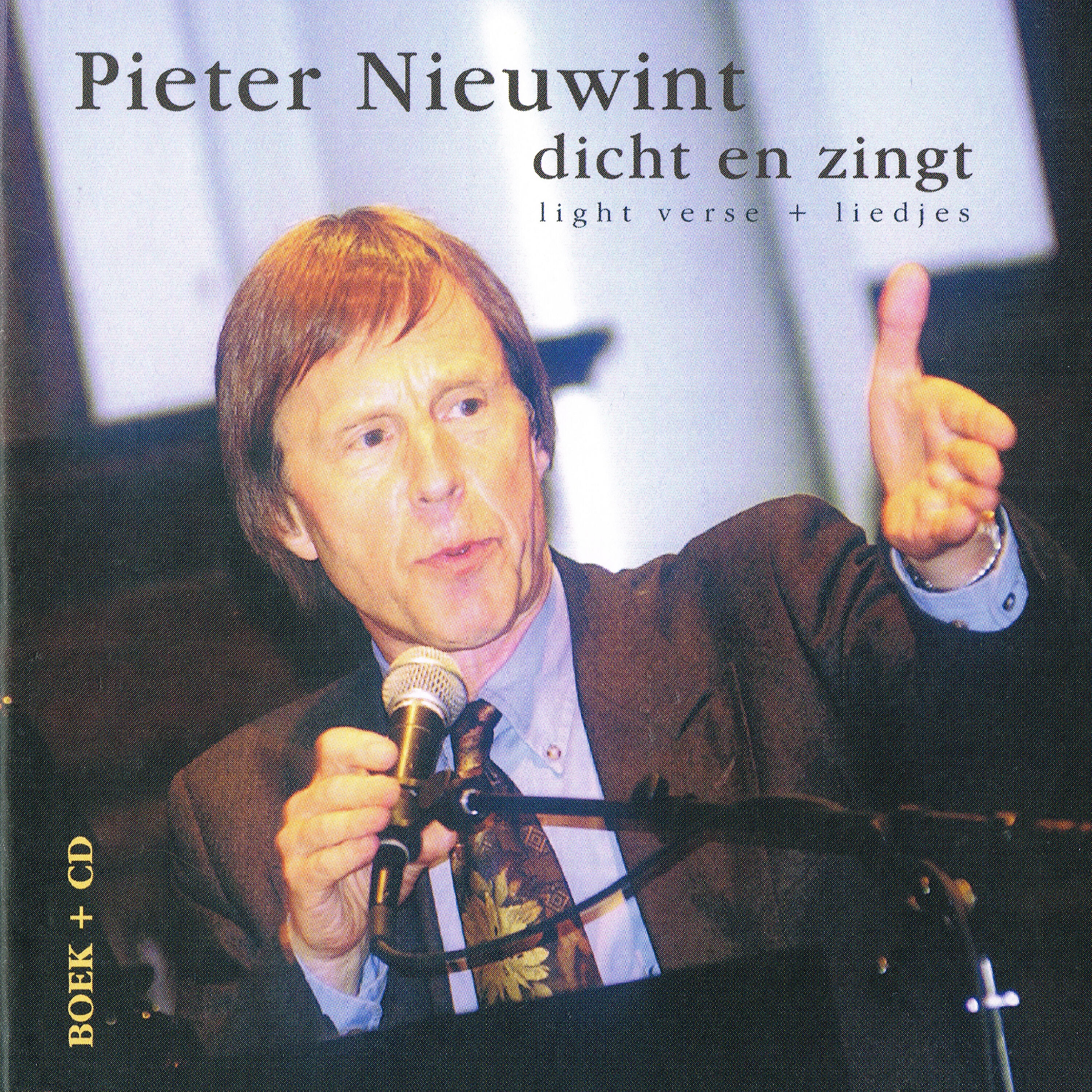 Pieter Nieuwint - Stroom