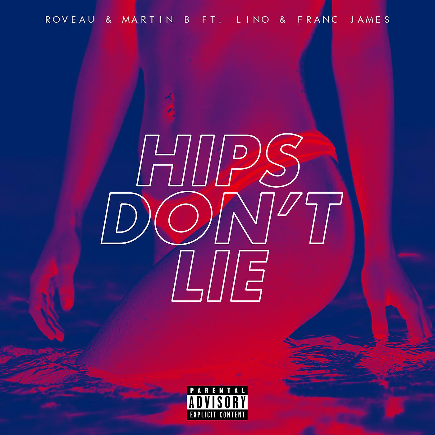 Постер альбома Hips Don't Lie