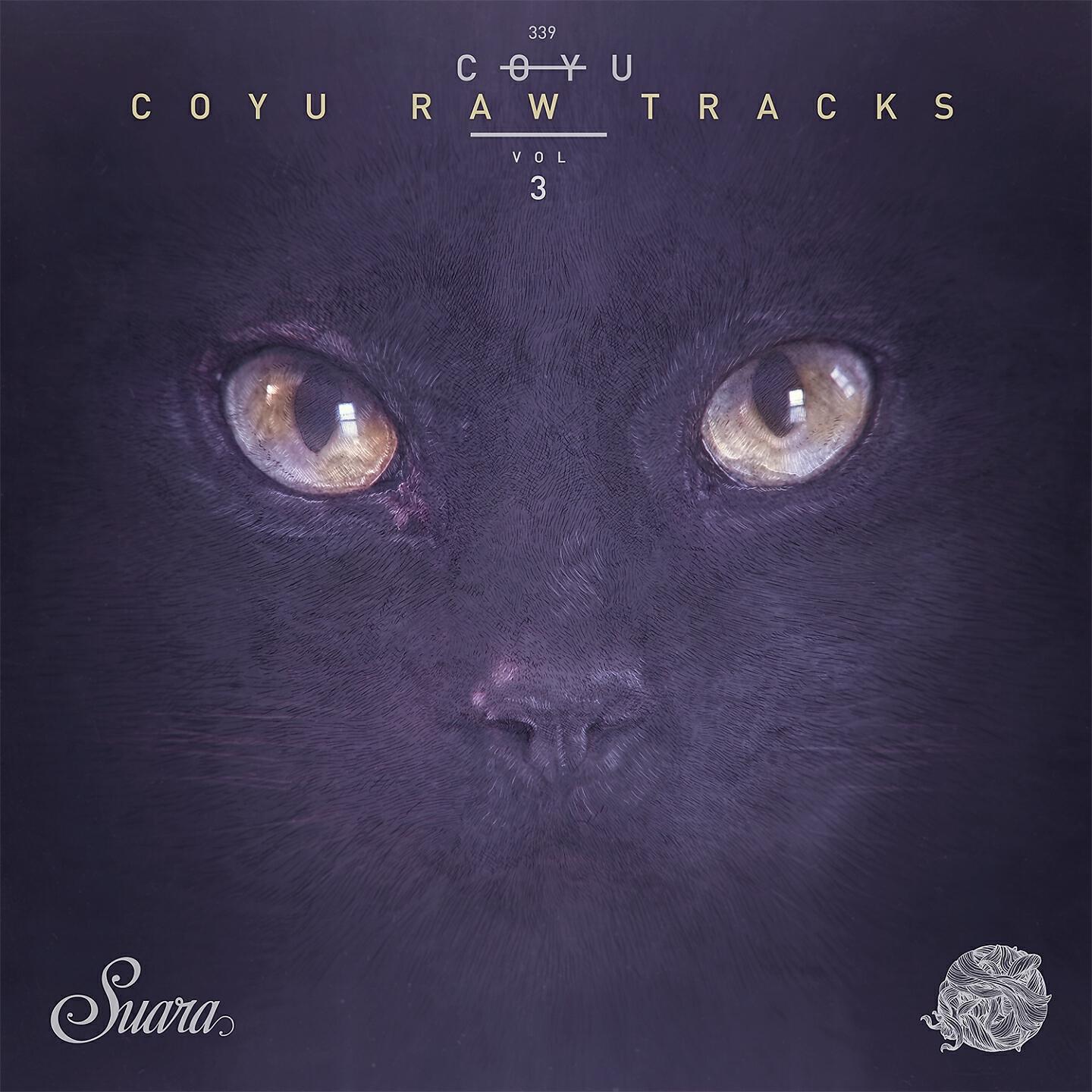 Coyu - Dry Tears (Coyu Raw Mix)