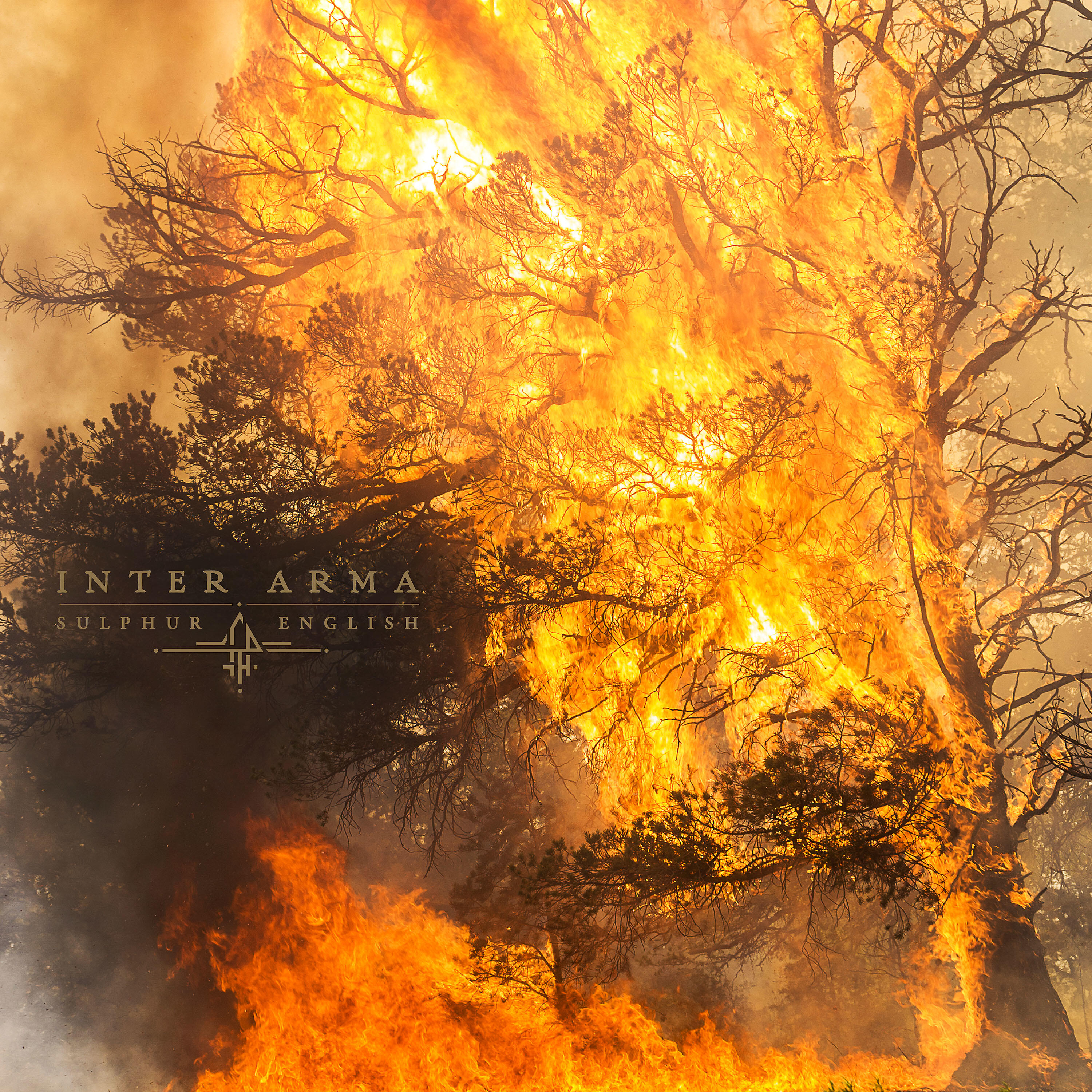 Inter Arma - A Waxen Sea
