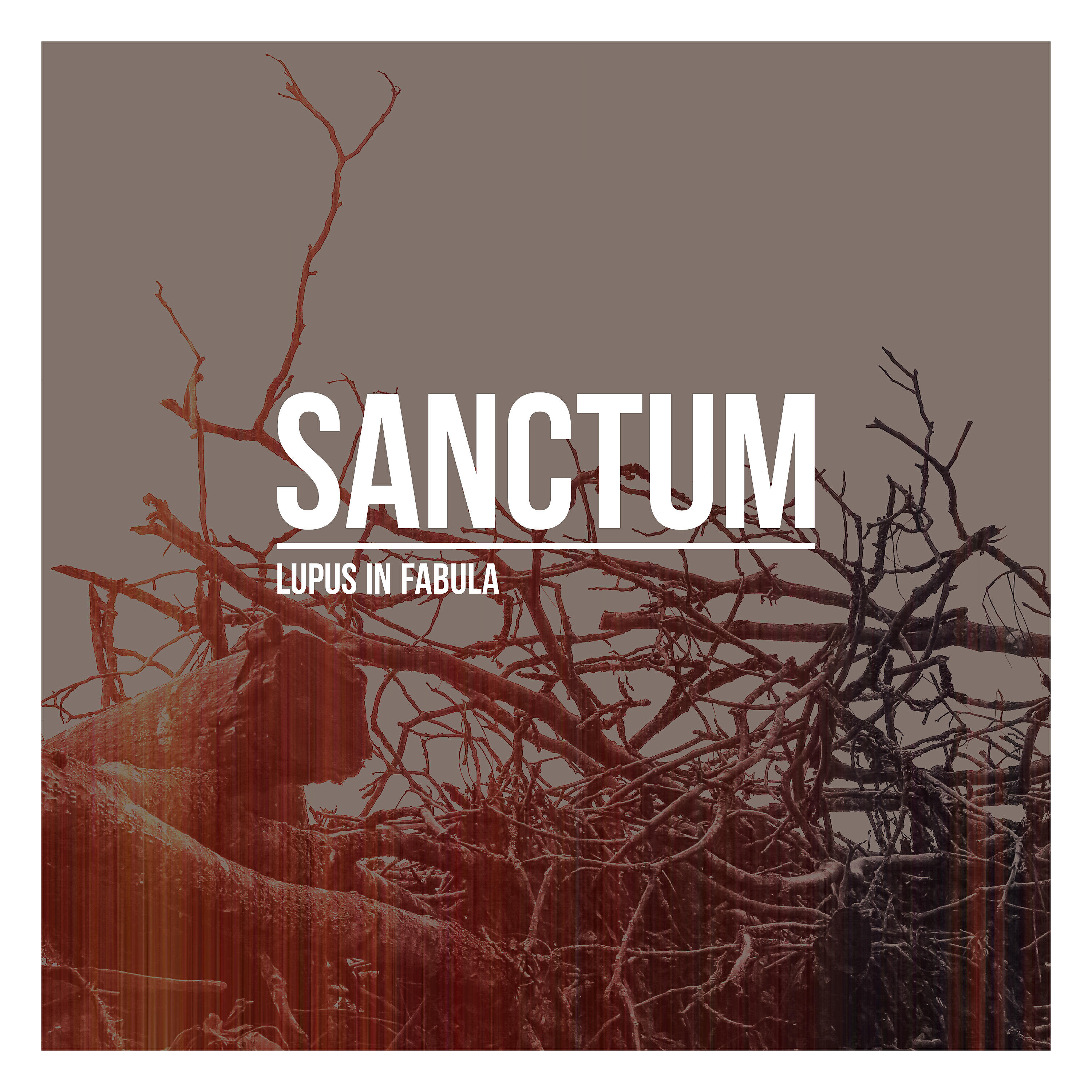 SANCTUM - Little Scamp with Horns