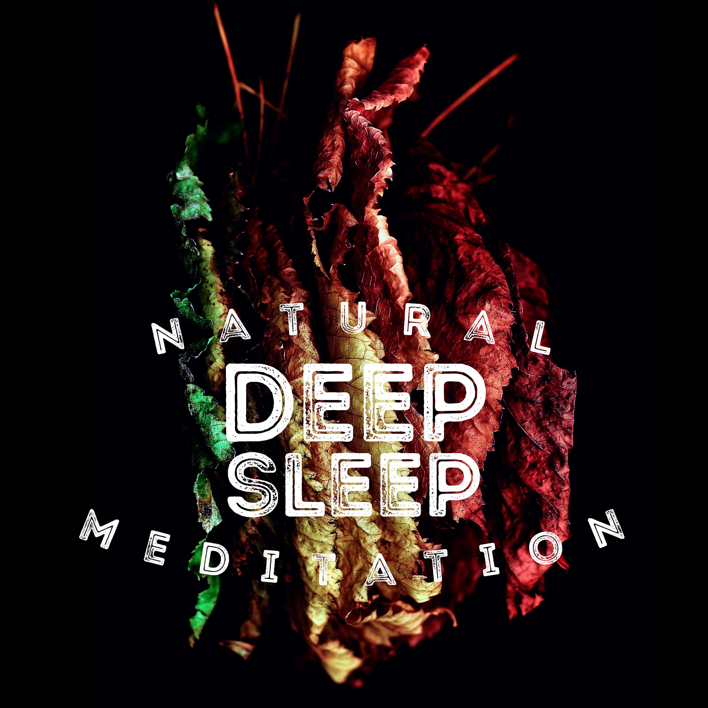 Постер альбома Natural Deep Sleep Meditation