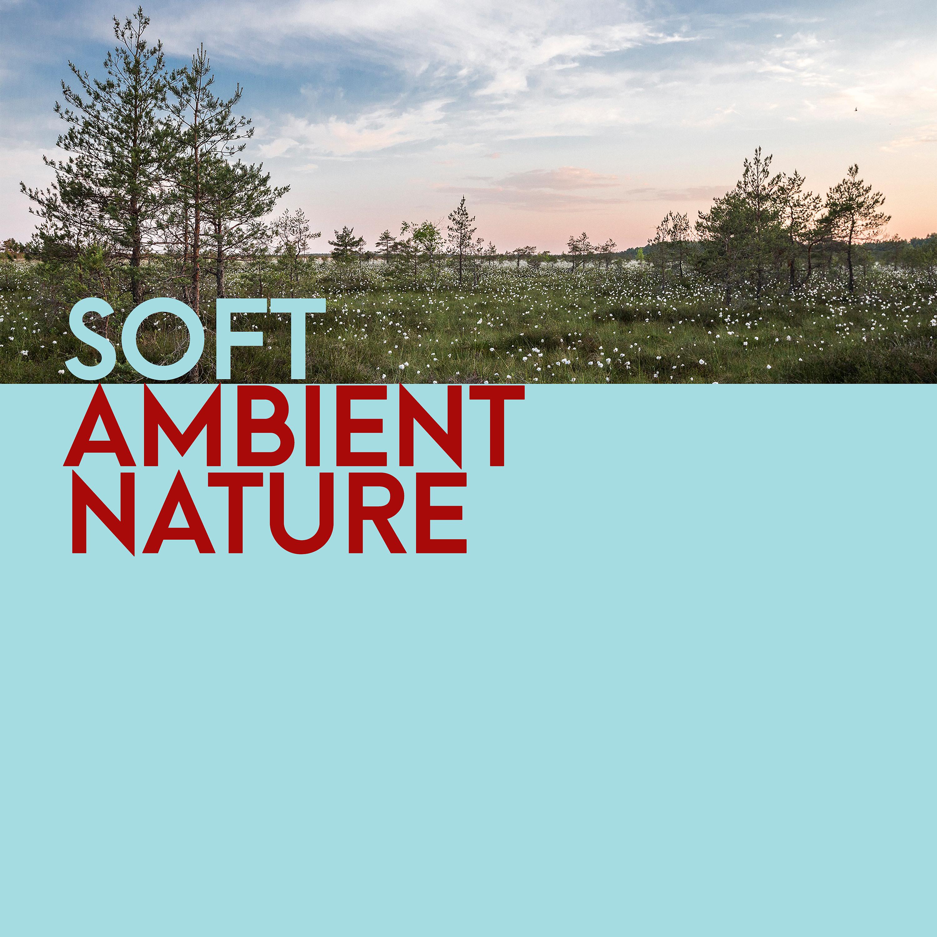 Постер альбома Soft Ambient Nature