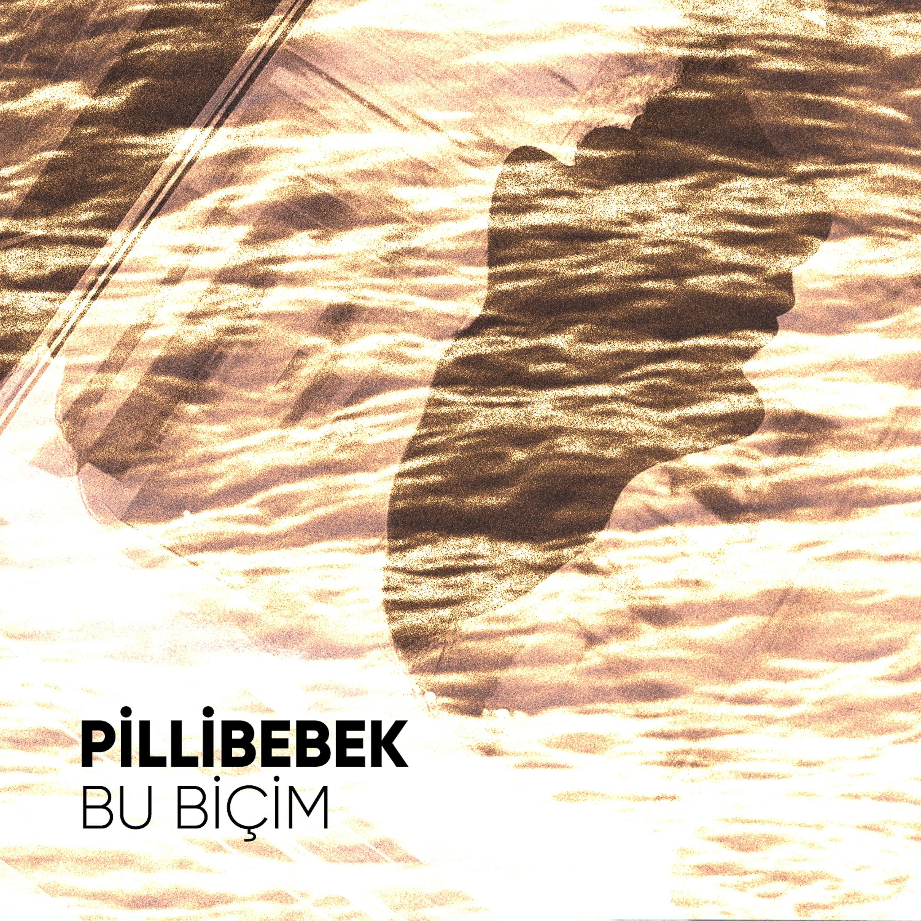 Постер альбома Bu Biçim