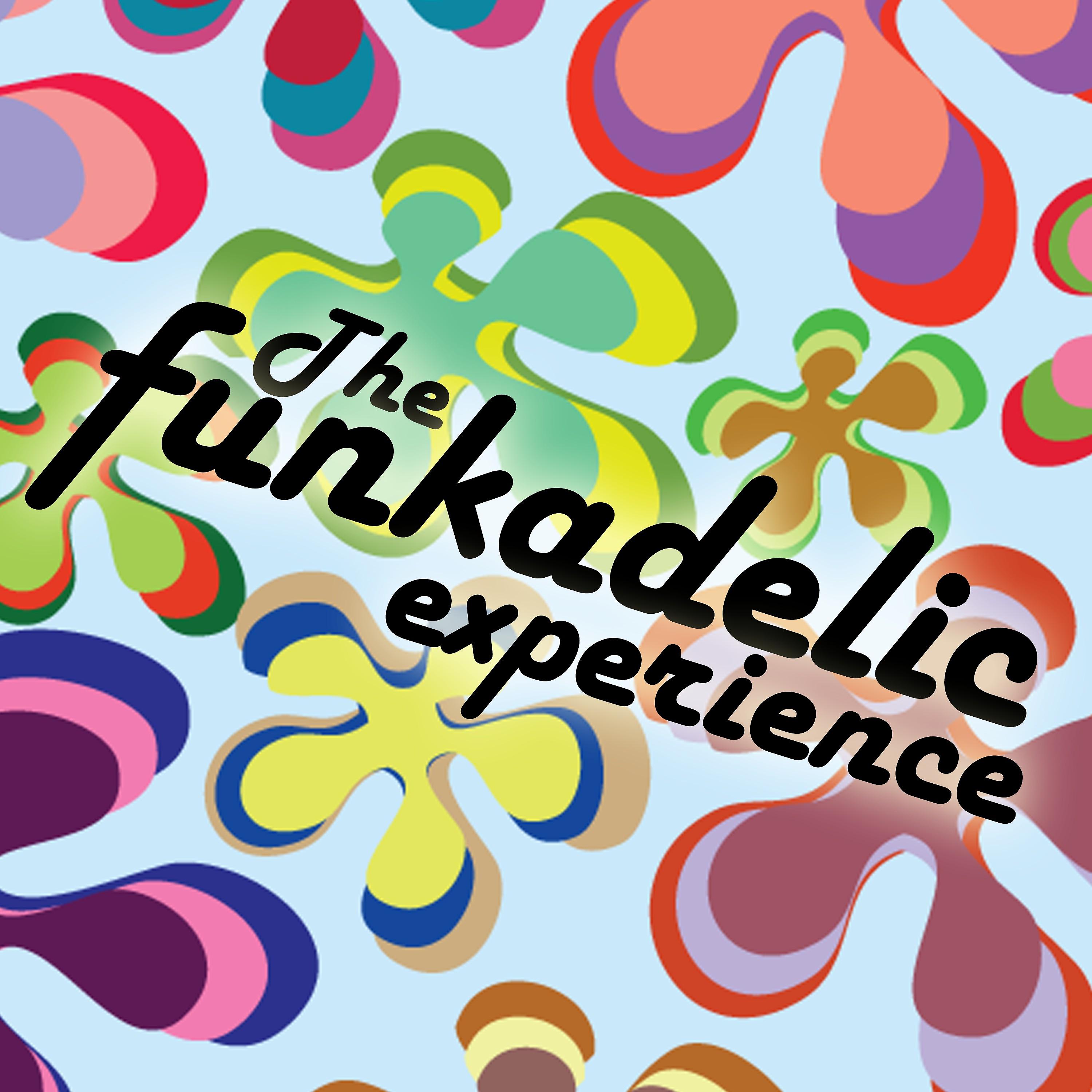 Постер альбома The Funkadelic Experience