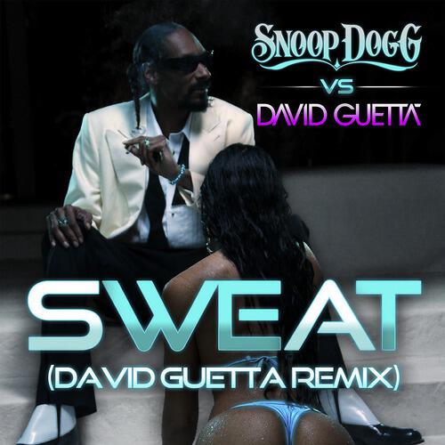 Snoop Dogg - Wet (Snoop Dogg Vs. David Guetta) (Remix)