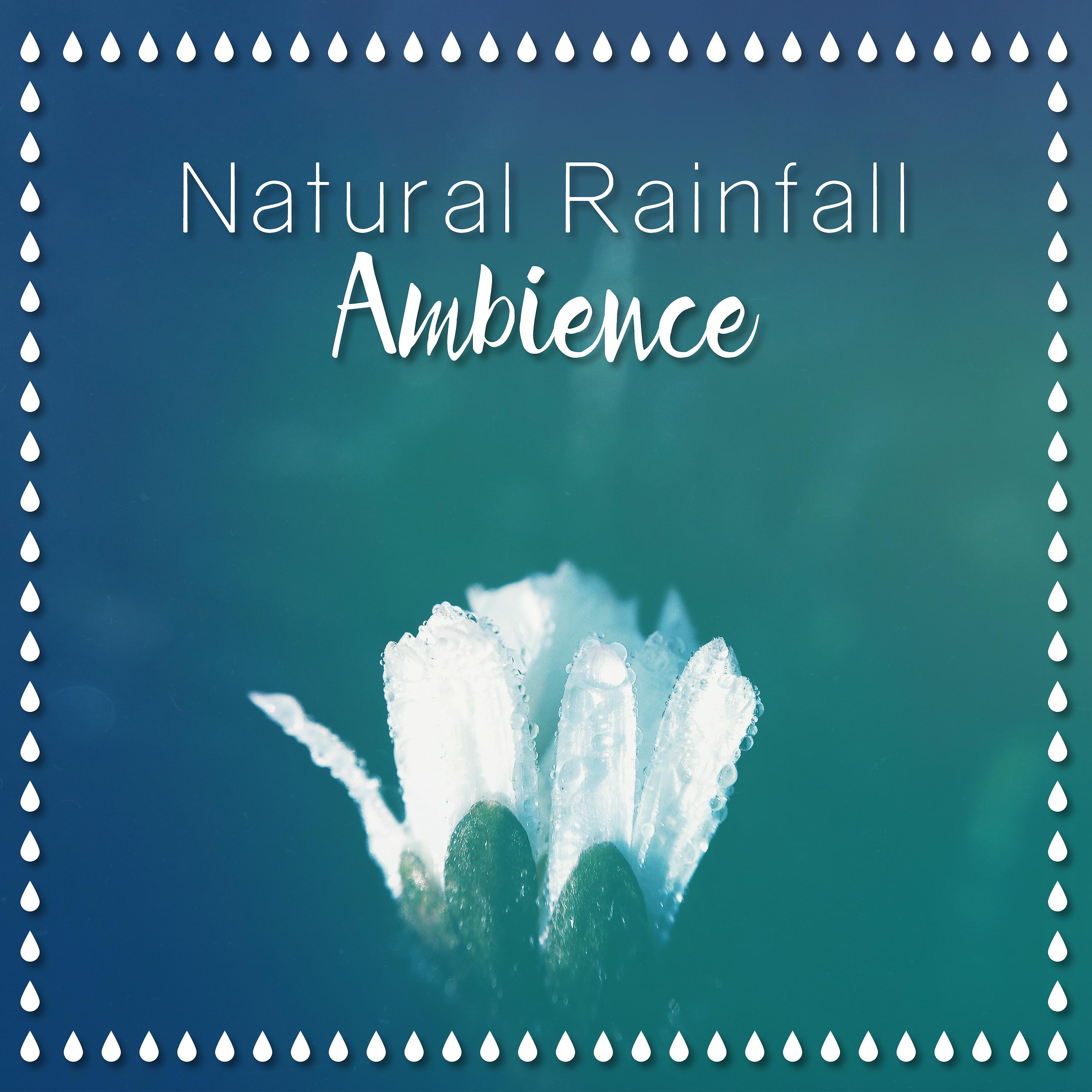 Постер альбома Natural Rainfall: Ambience