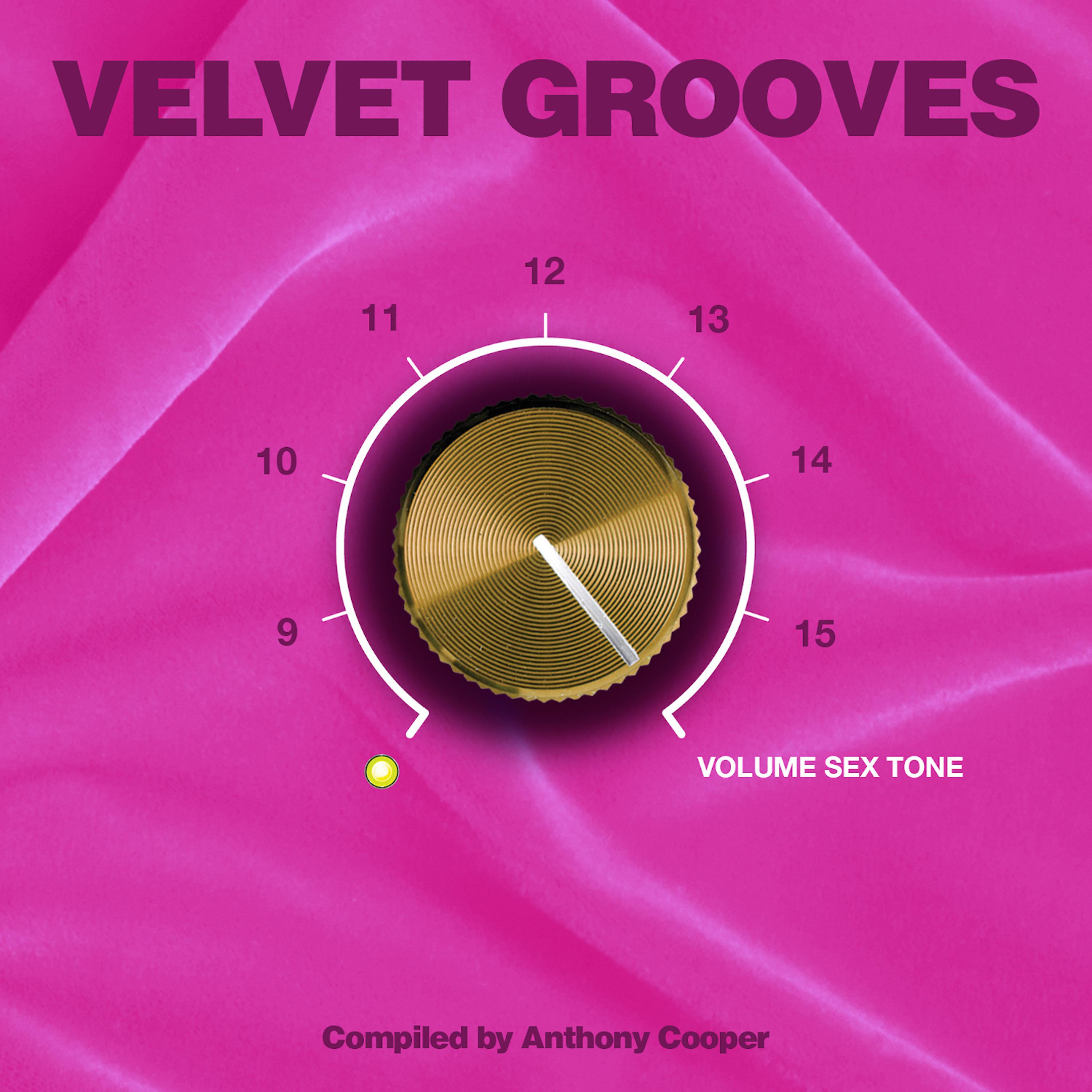 Постер альбома Velvet Grooves 16 Volume Sextone