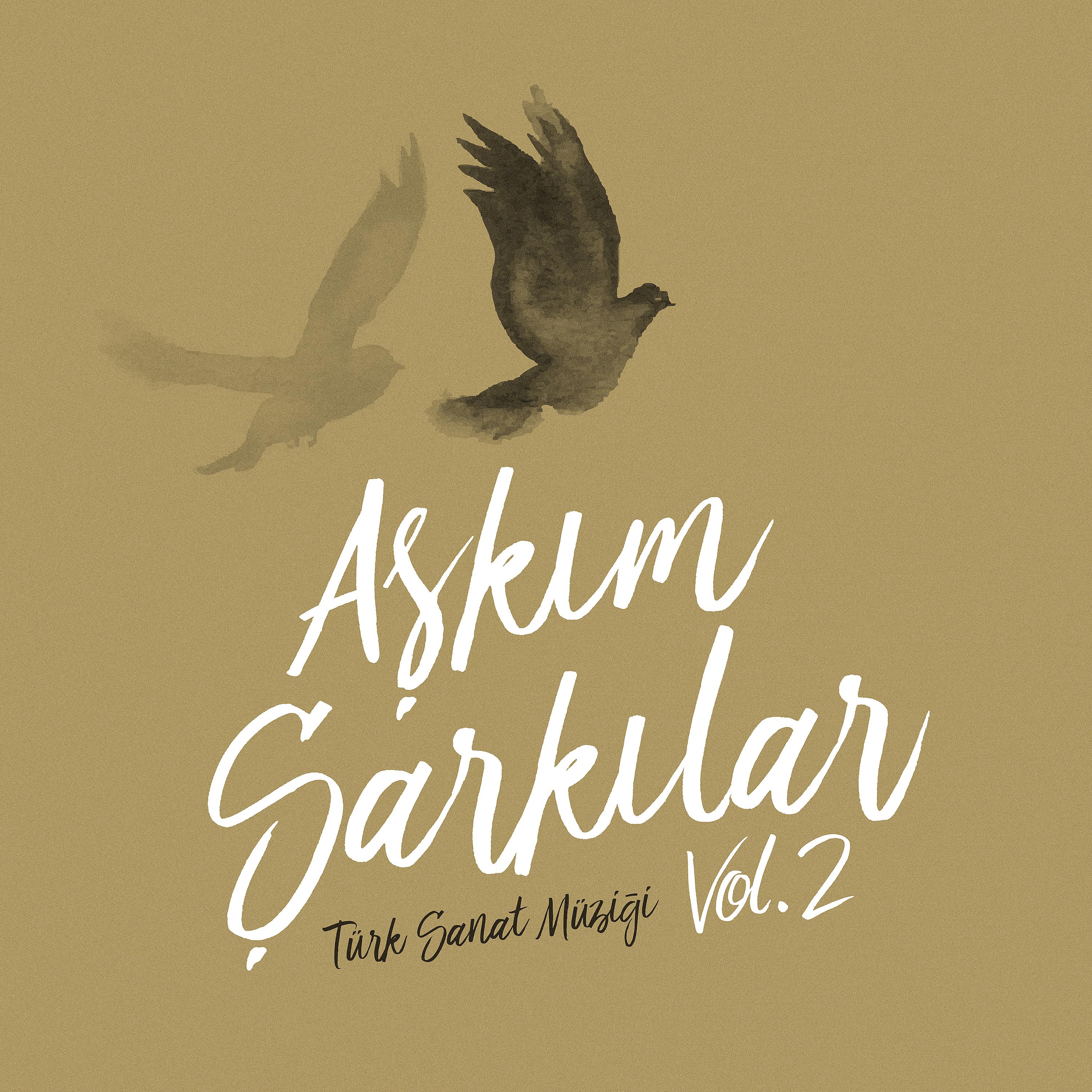 Постер альбома Aşkım Şarkılar, Vol.2