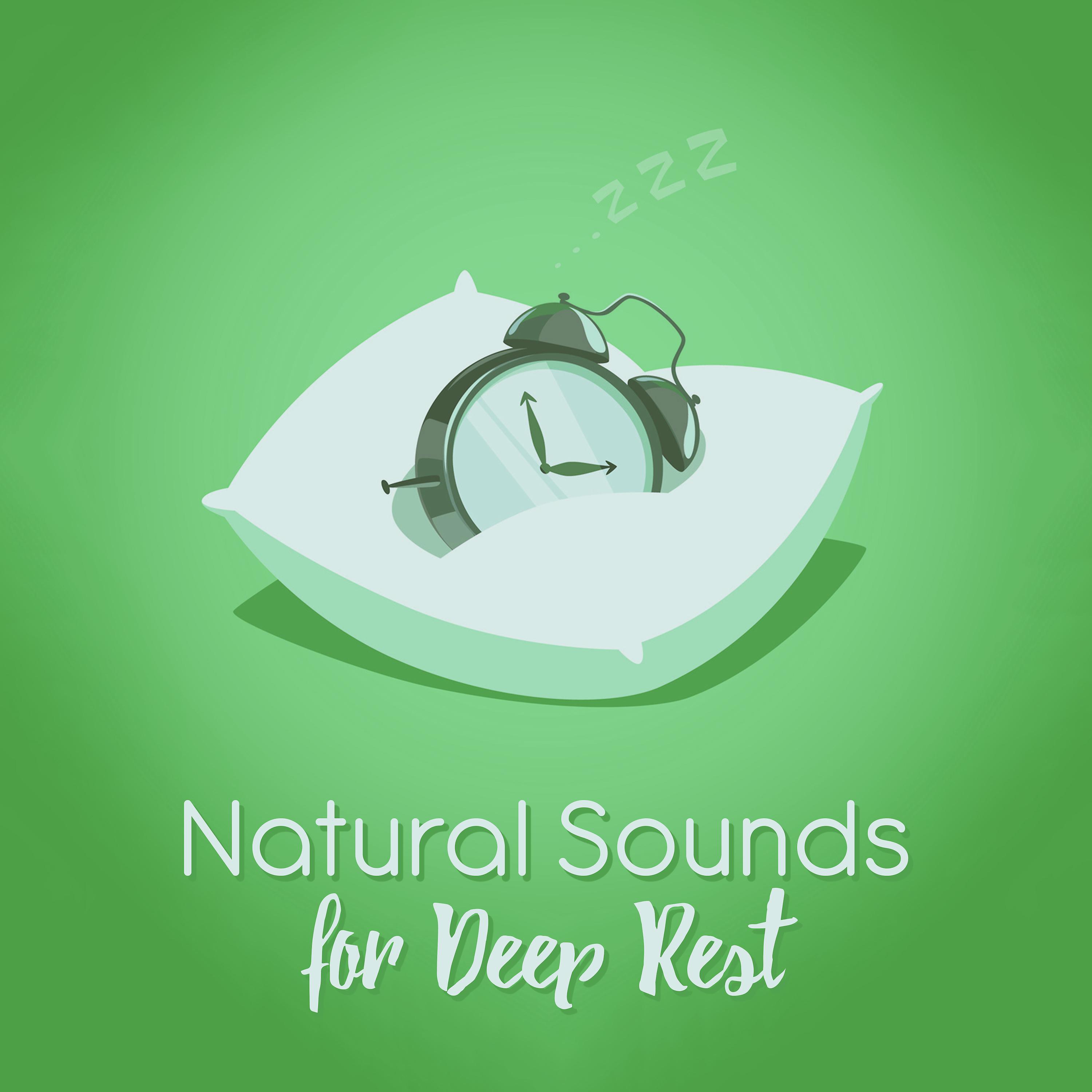 Постер альбома Natural Sounds for Deep Rest