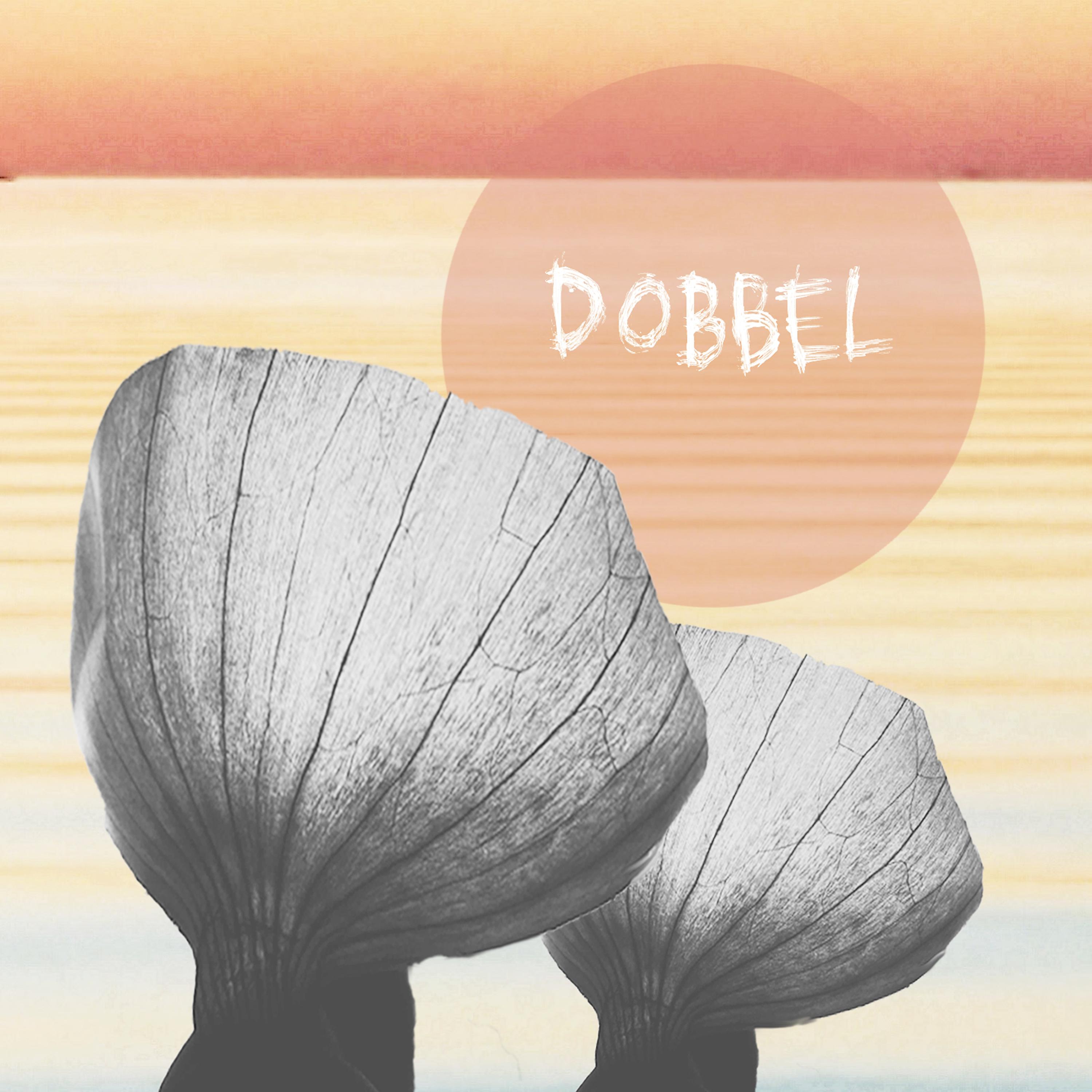 Постер альбома Dobbel