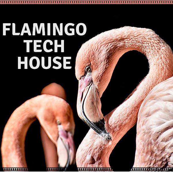 Постер альбома Flamingo Tech House