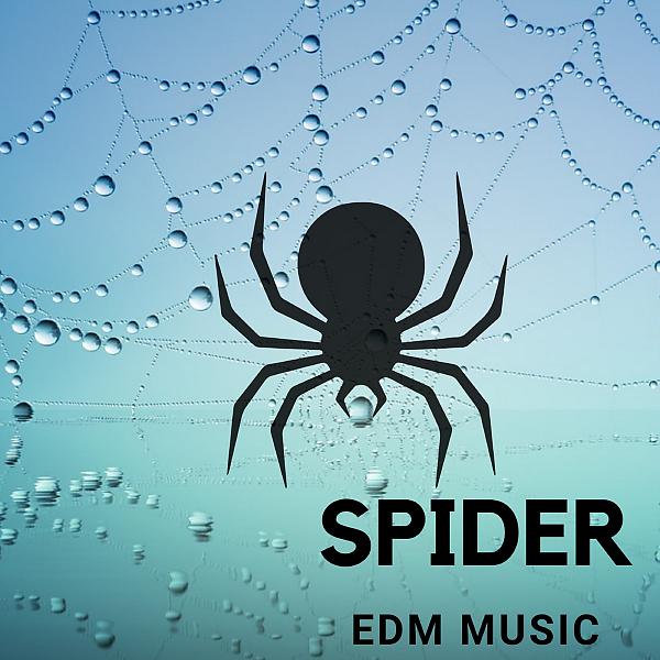 Постер альбома Spider EDM Music