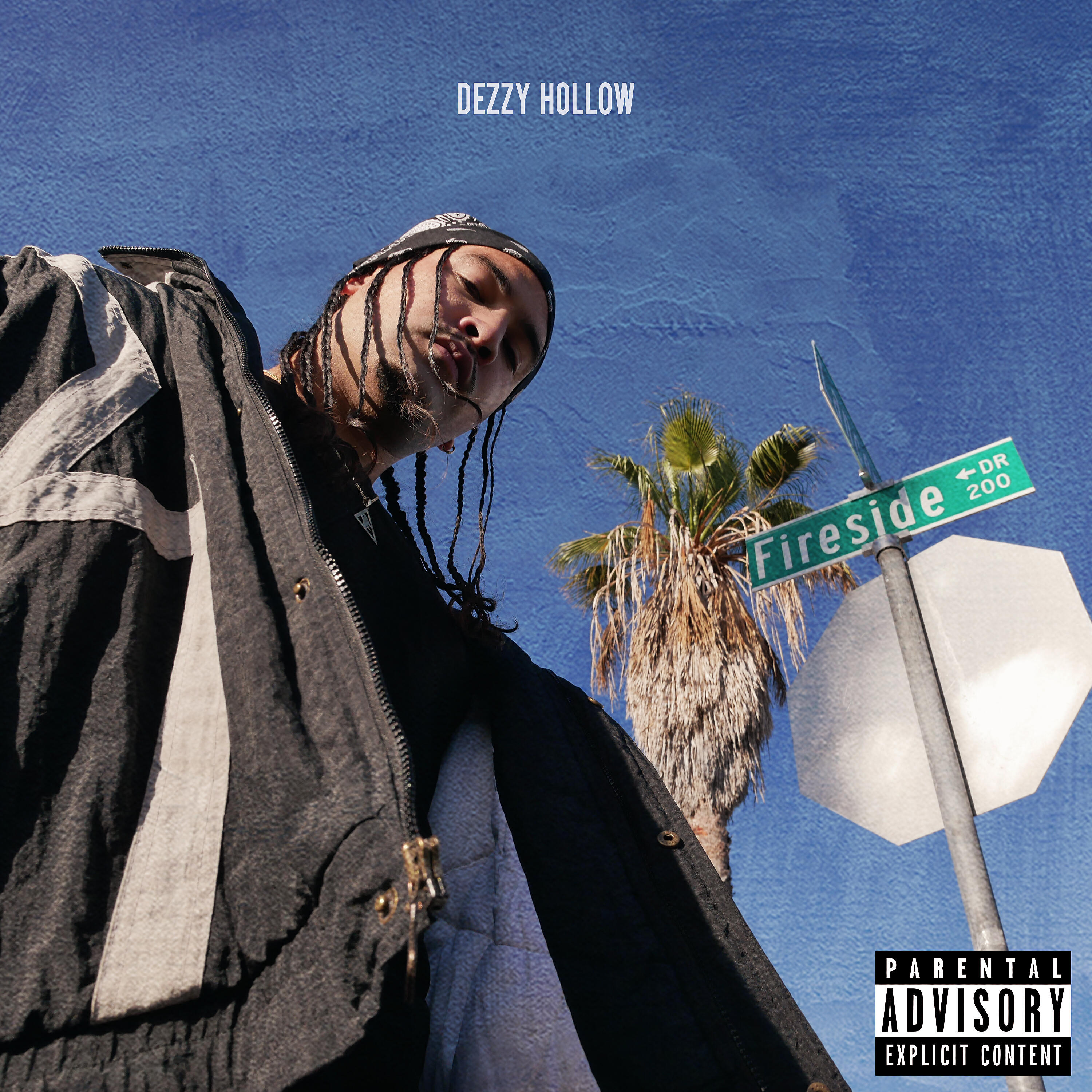 Dezzy Hollow - In Vein